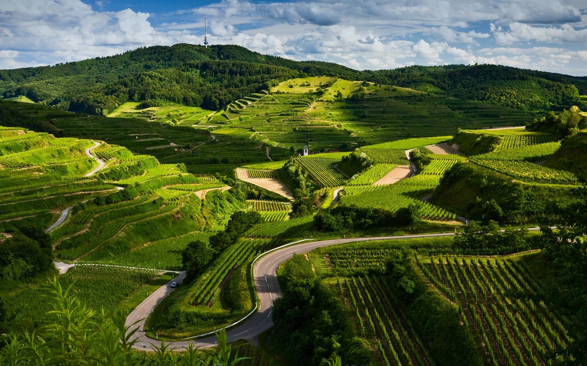 Anne Krebiehl MW on the German wines you need on your list