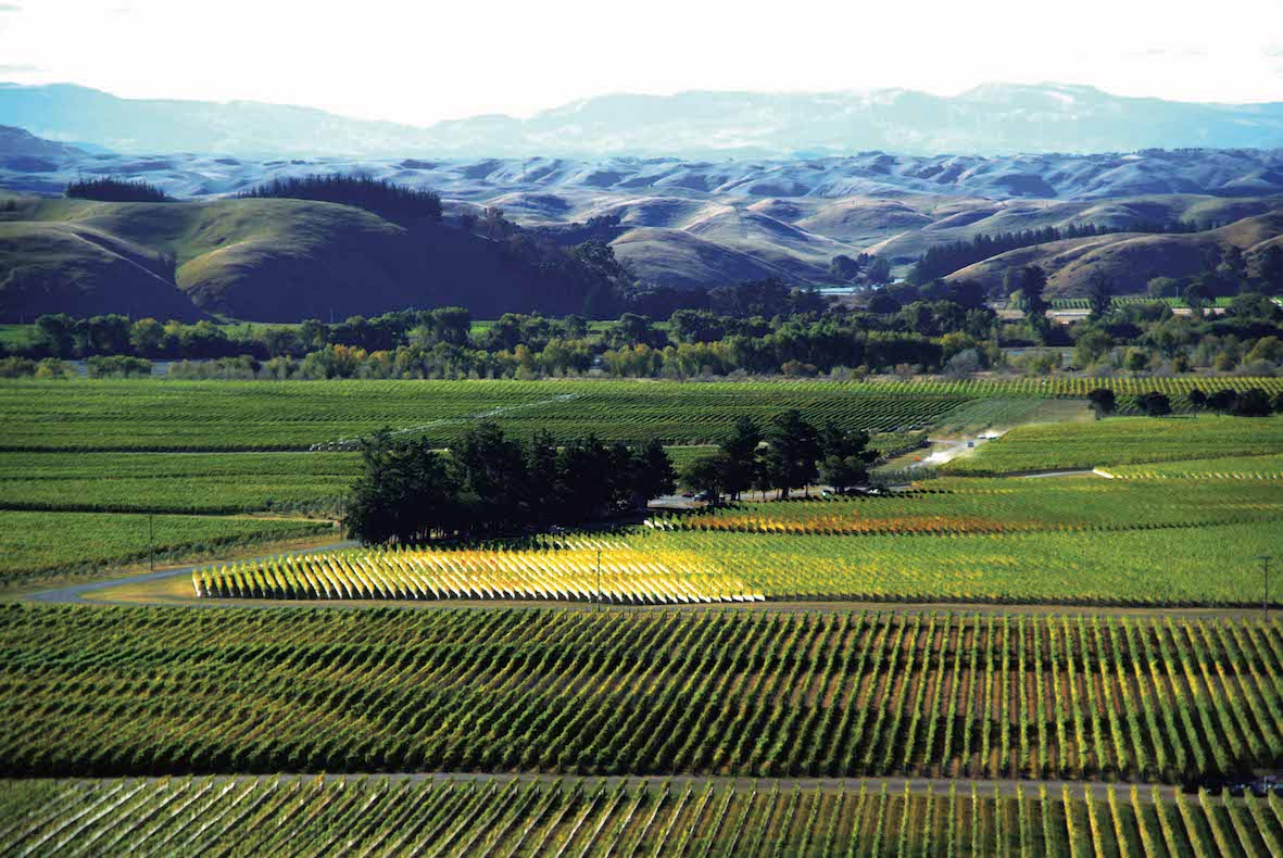 Pilots, gravel and vines: Villa Maria’s flagship wine Ngakirikiri