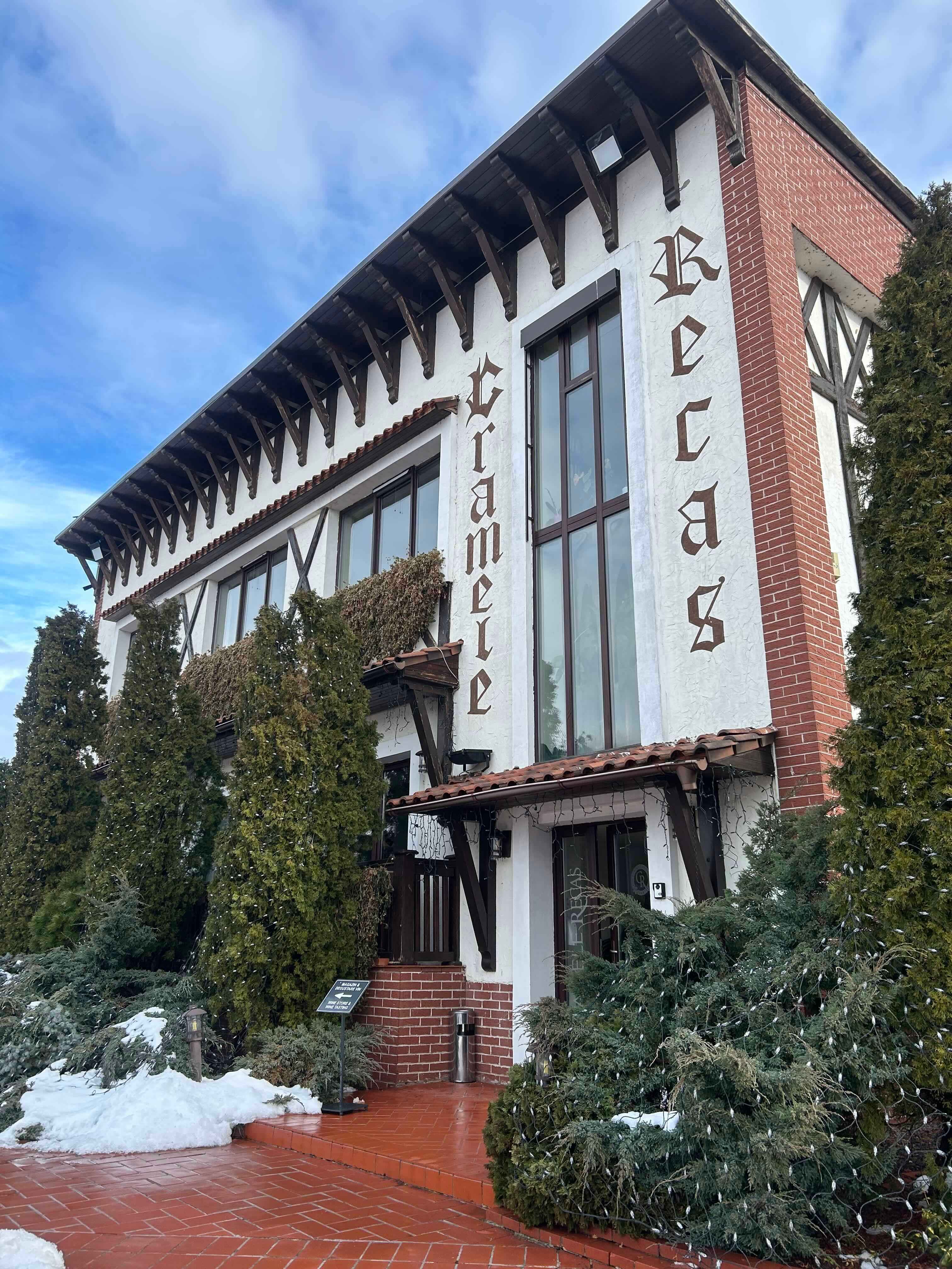 The Buyer | Cramele Reca on what it believes are the key trends to invest in