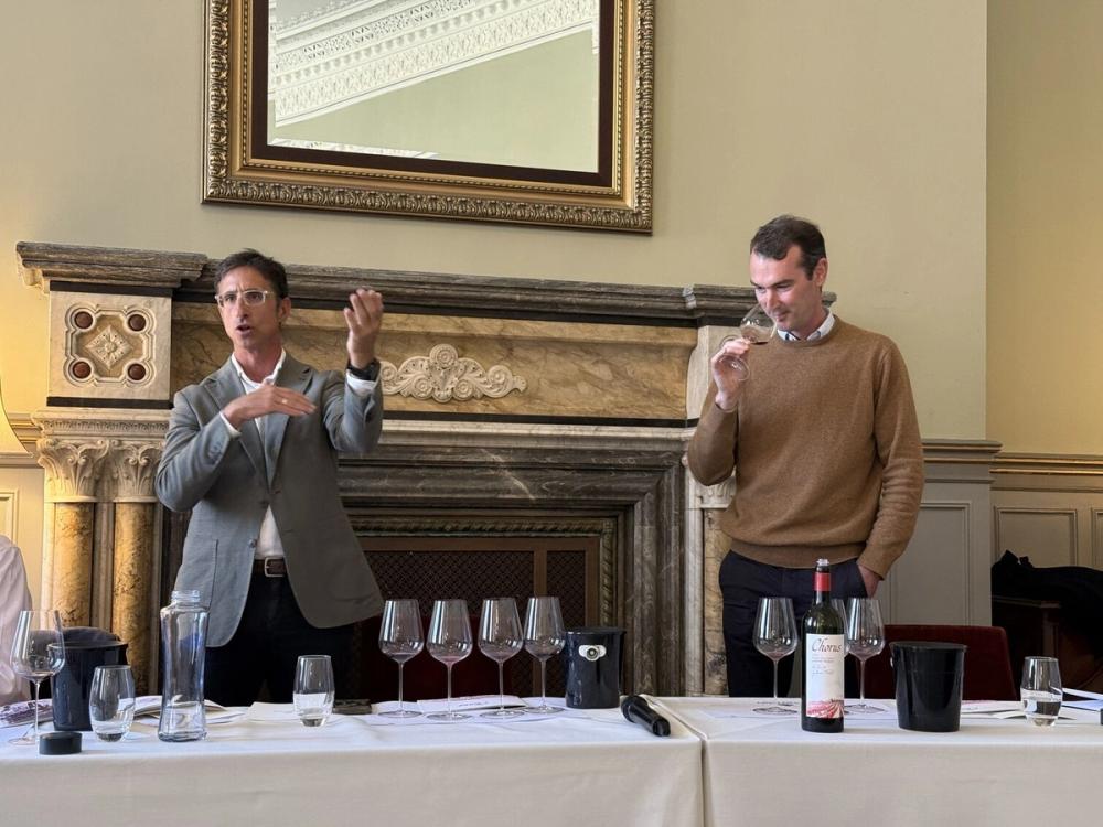 Viñedos del Contino Chorus