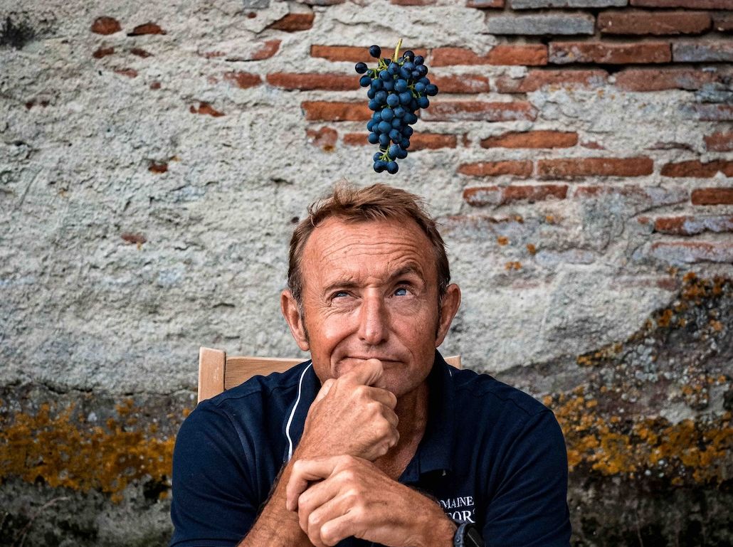 Dominic Rippon on the Malbec renaissance in IGP Pays d'Oc