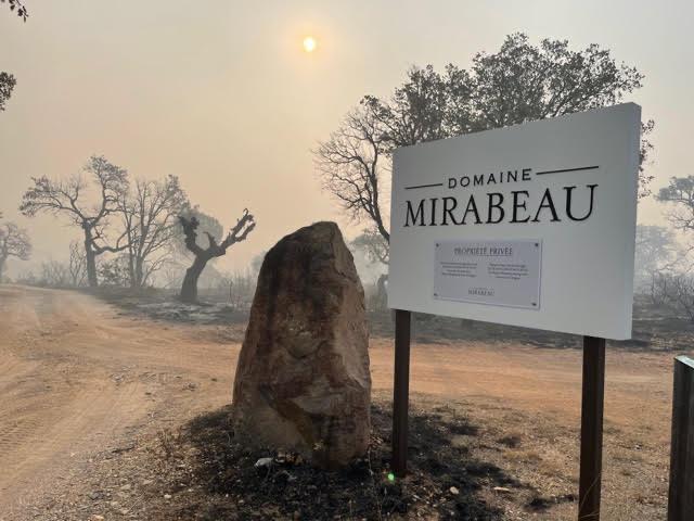 Stephen Cronk: wild fires are wake-up call to climate change