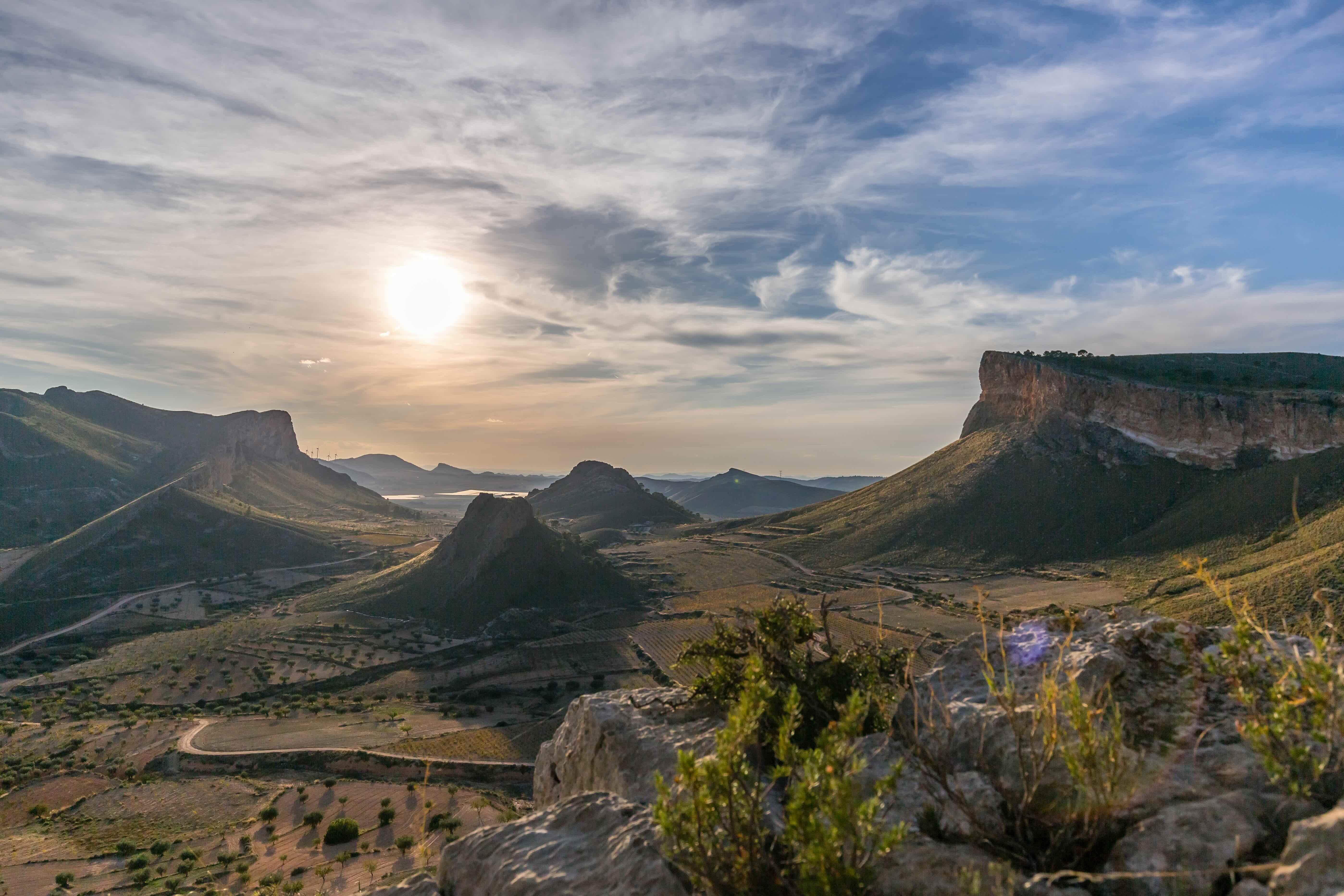 What Spain's fast growing Murcia region can offer UK wine buyers 