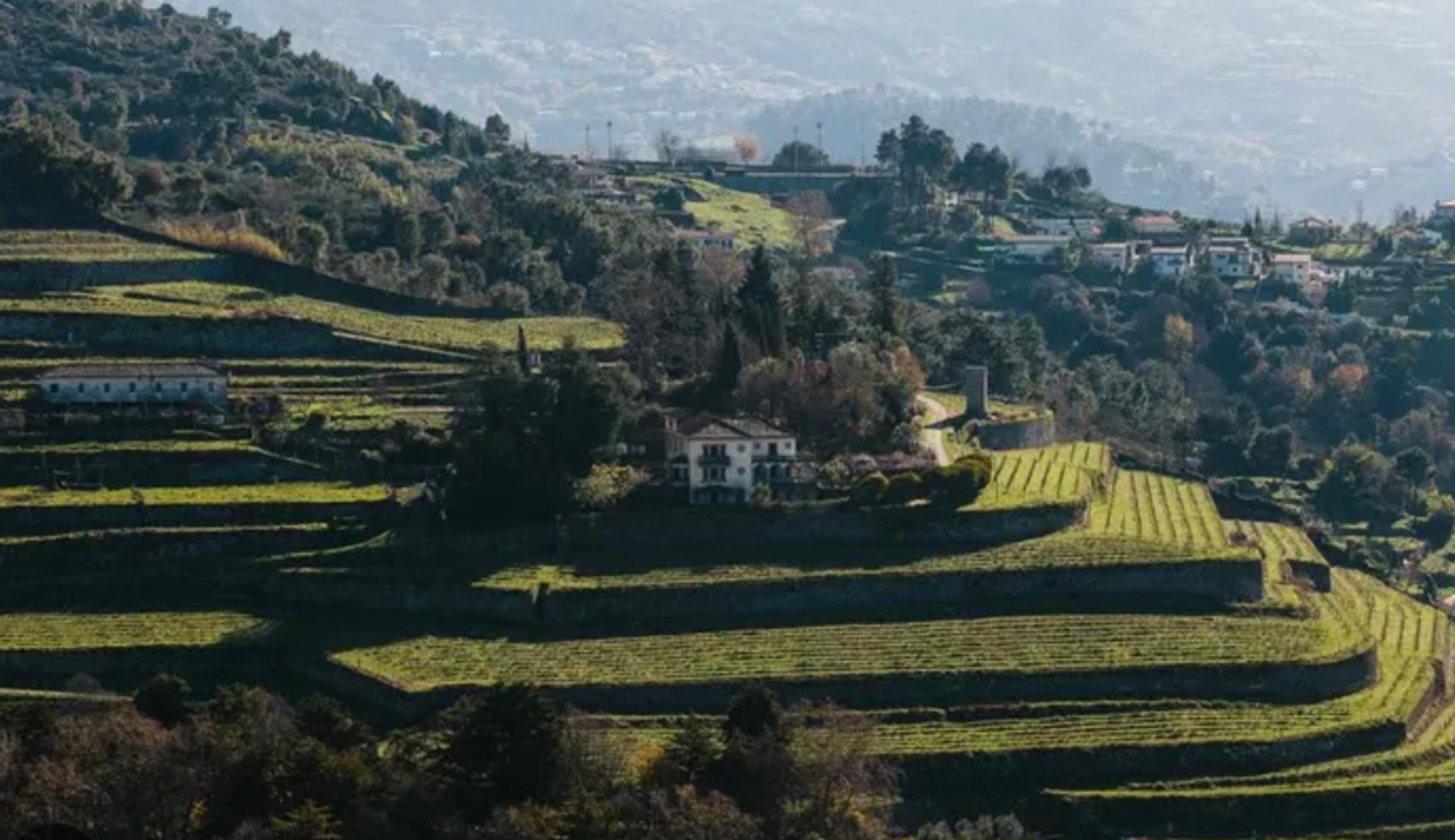 Premium Vinho Verde: a new era of experimentation and diversity