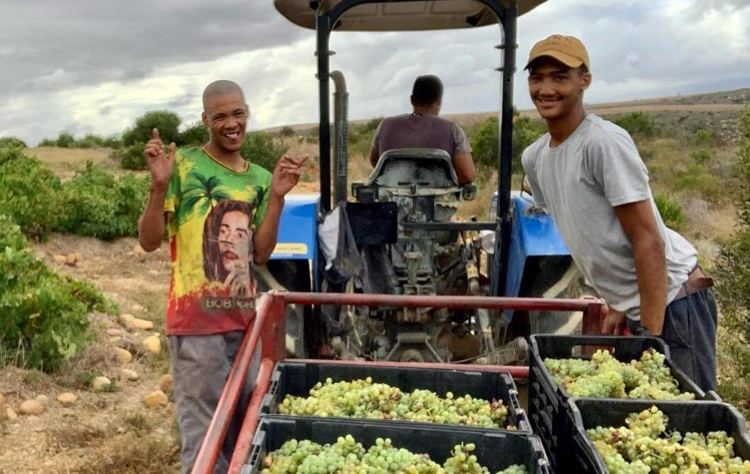 Geoffrey Dean discovers South Africa’s Agulhas Wine Triangle