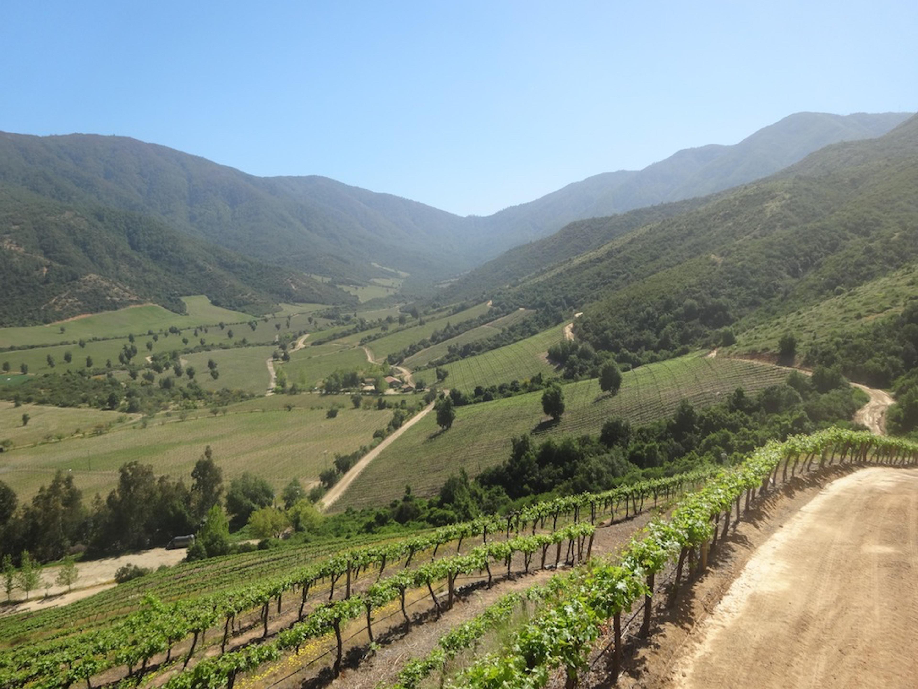 Chile’s Vina Ventisquero: tasting its premium range