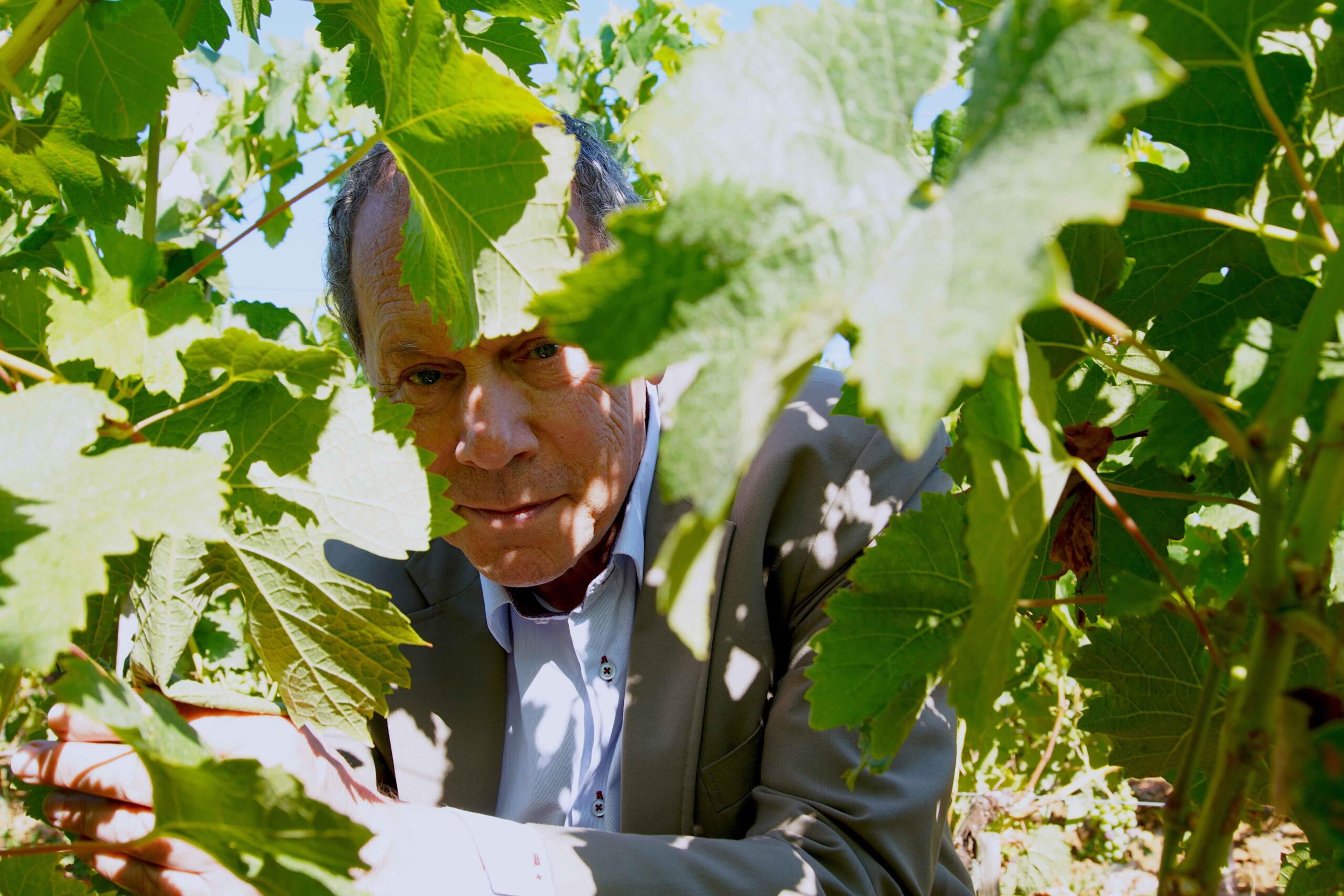 How Thunevin is taking Ch. Valandraud to first growth status    