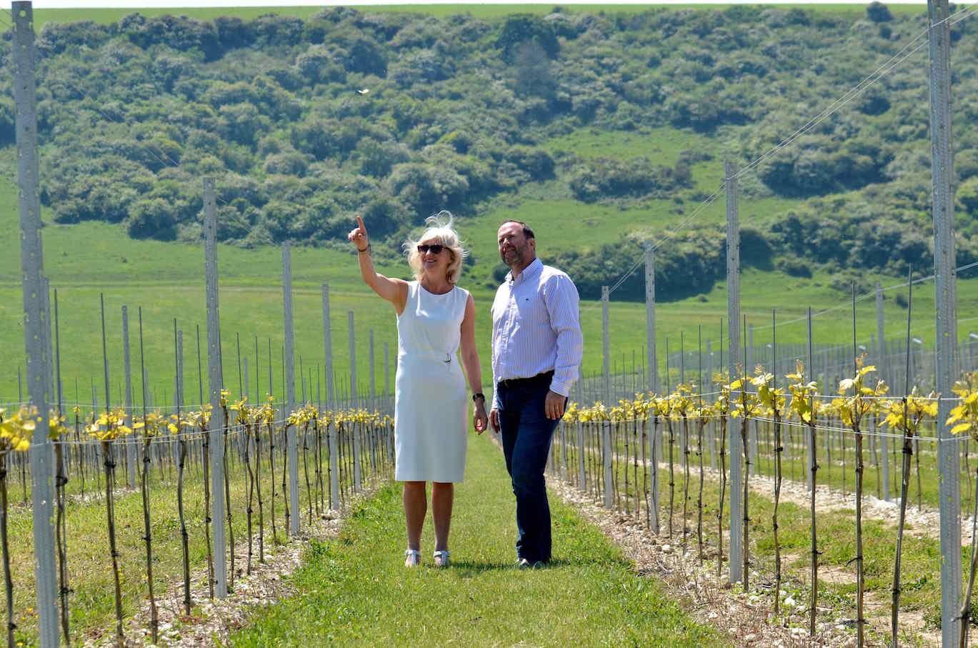 Anne Krebiehl MW on the  ‘7 Year Itch’ at Sussex’s Rathfinny Estate