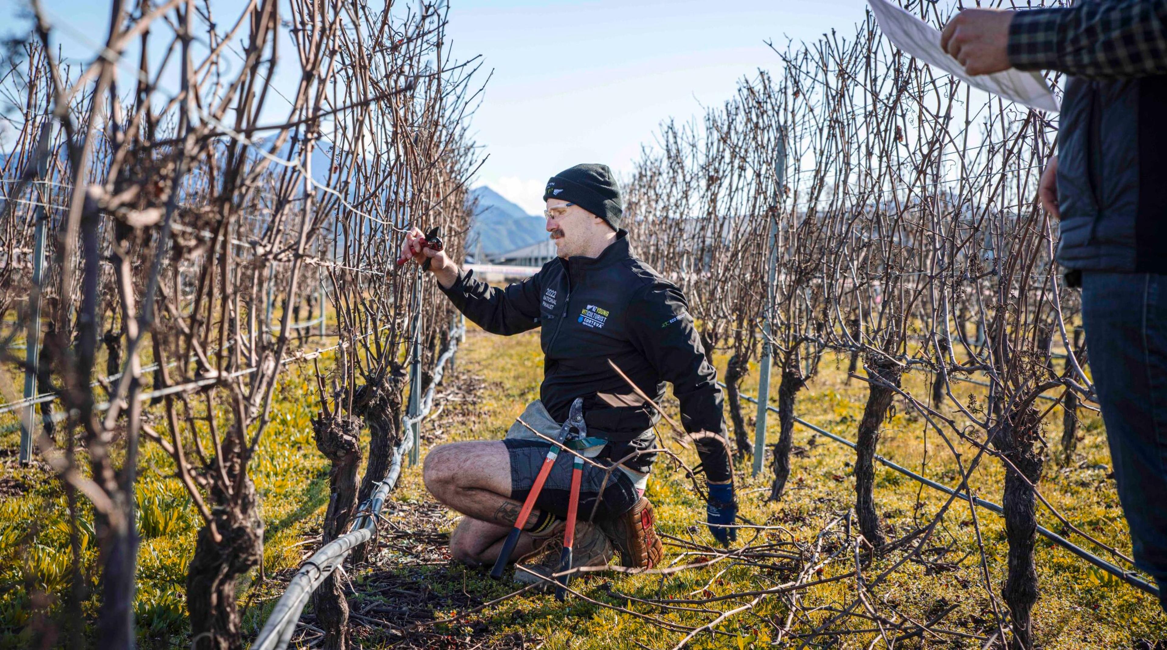 How New Zealand takes the lead with career & fulfilment initiatives