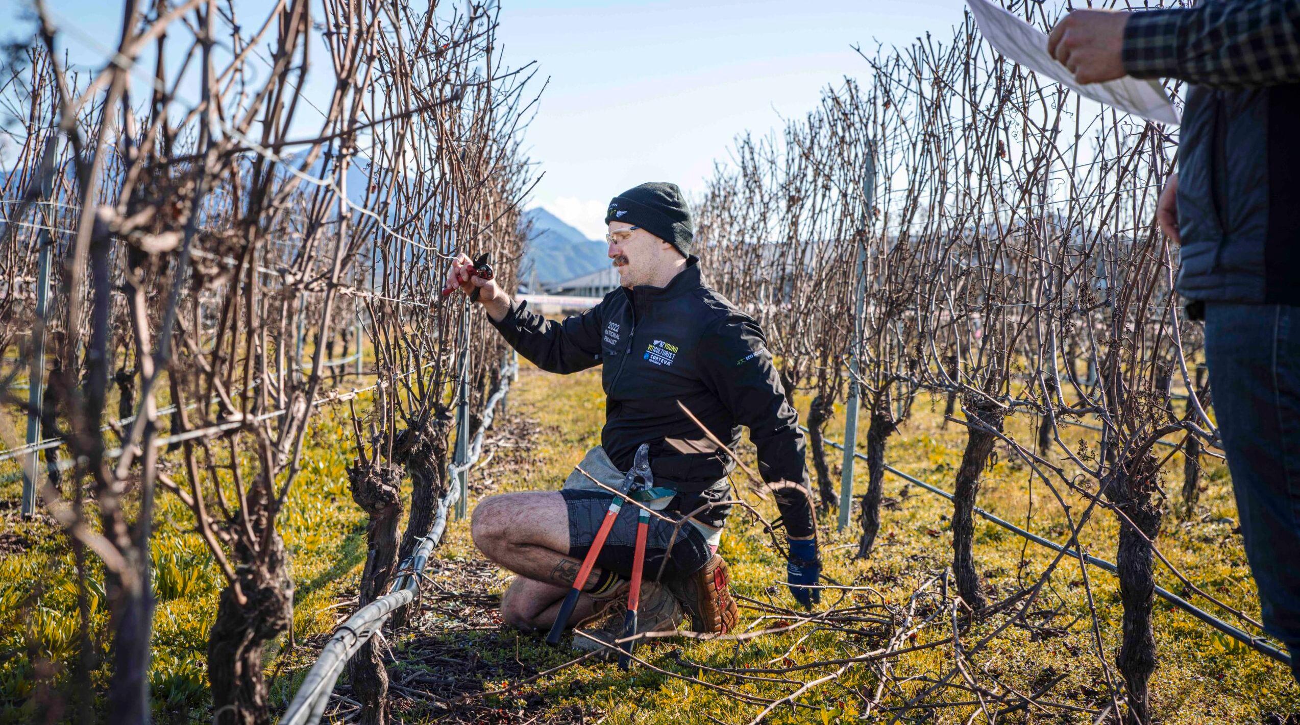 How New Zealand takes the lead with career & fulfilment initiatives
