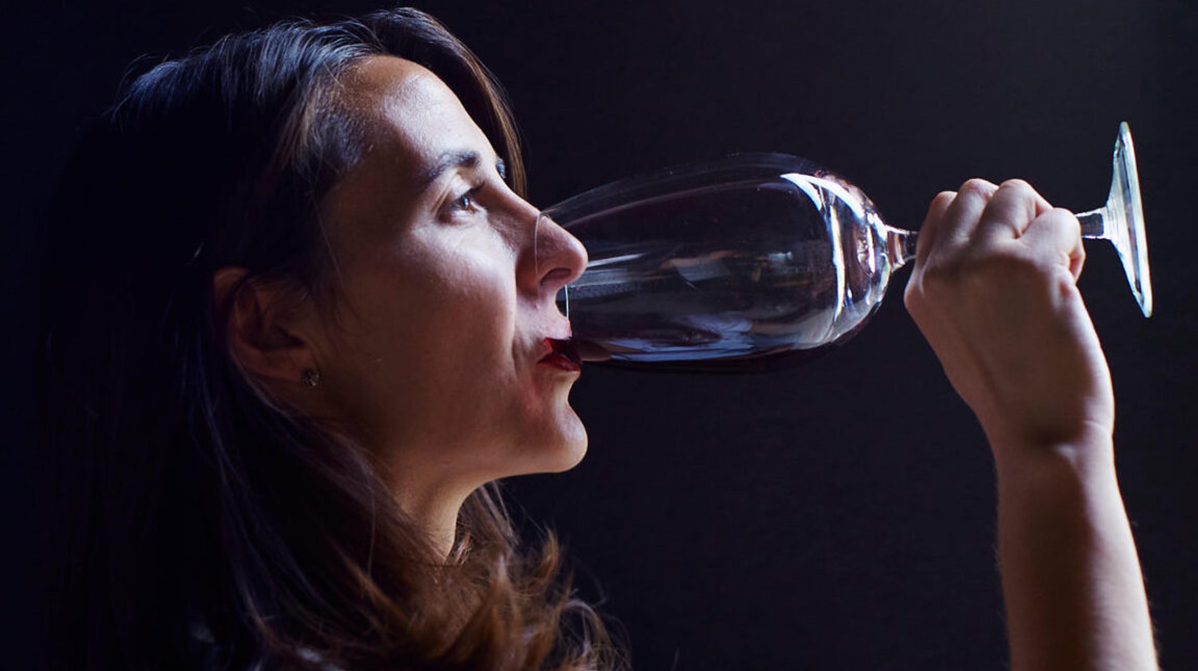 Discovering South American diversity through Condor Wines