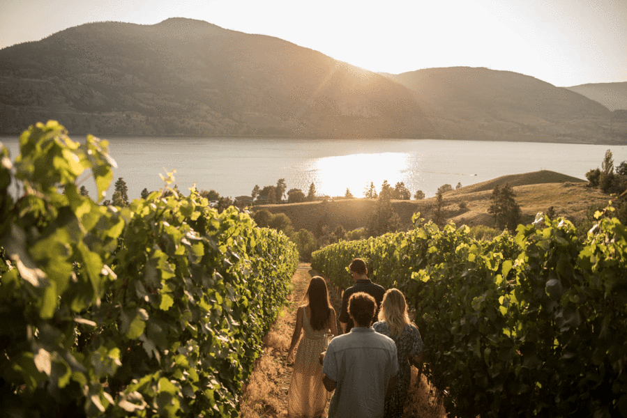 Why there’s so much excitement in Canada’s Okanagan Valley