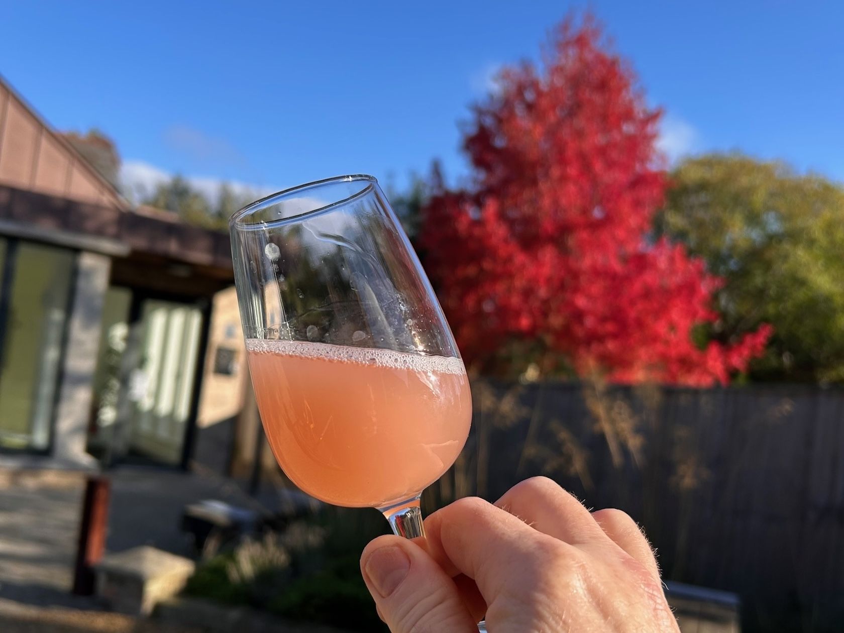 Letter from Cambridge: What's coming from Gutter&Stars in 2026   