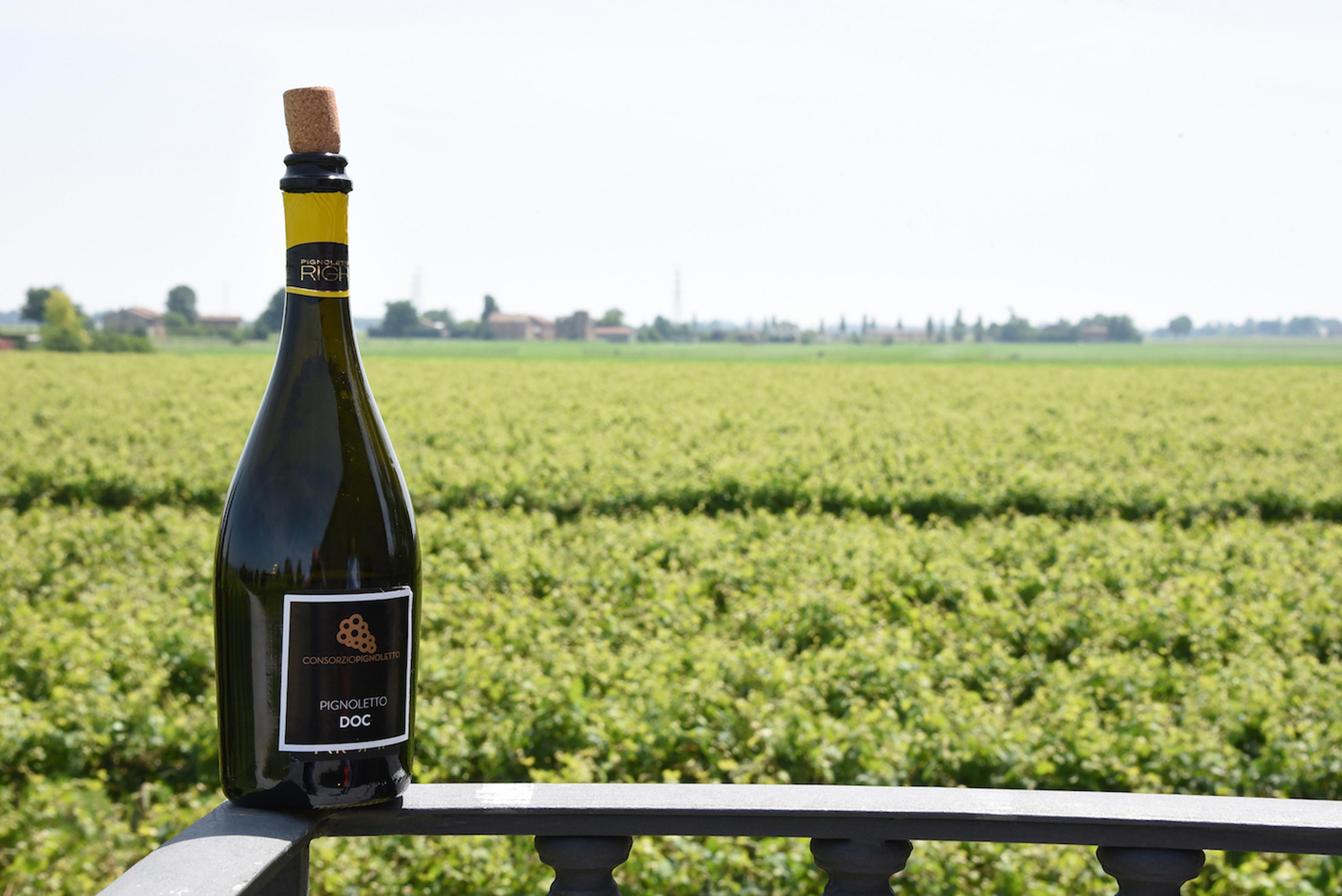 Why does Pignoletto lack sparkle in the UK on-trade?