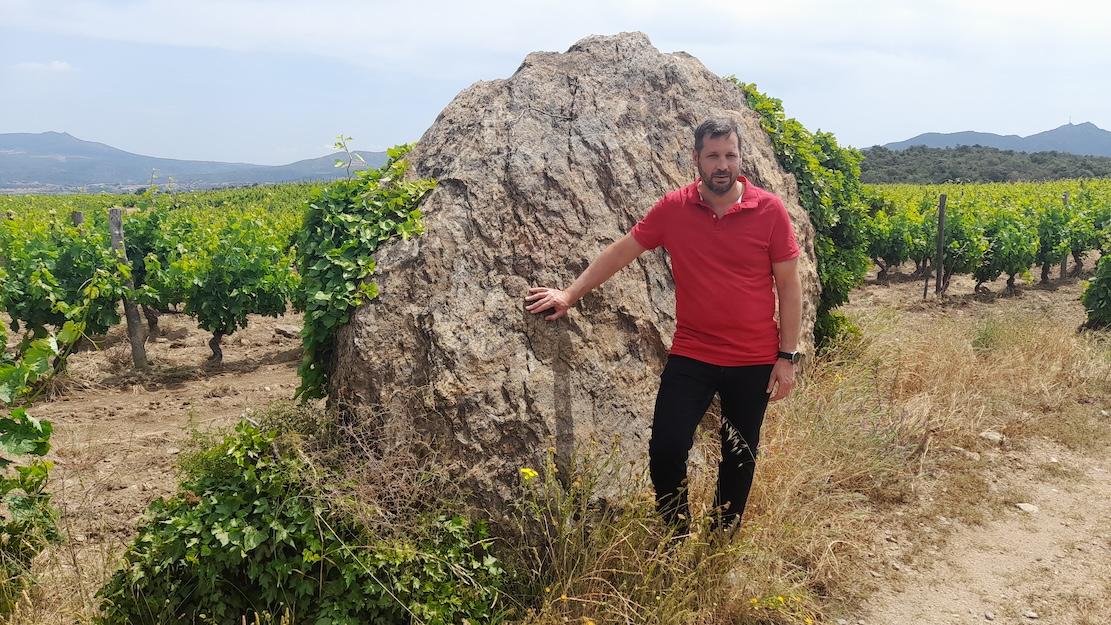 How Roussillon continues to excel despite its many challenges