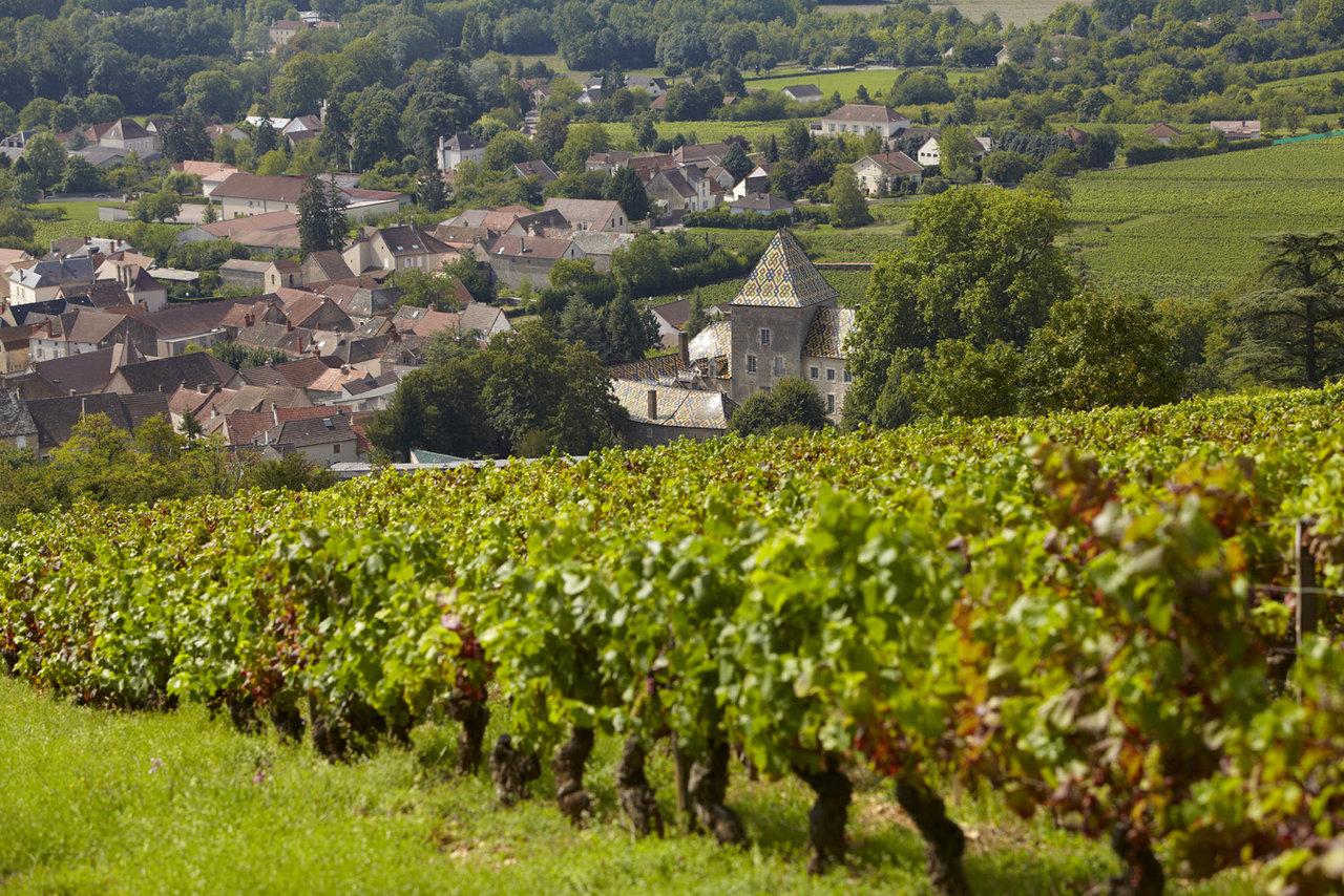 Buyer on the road: Château de Santenay and the promise of 2017