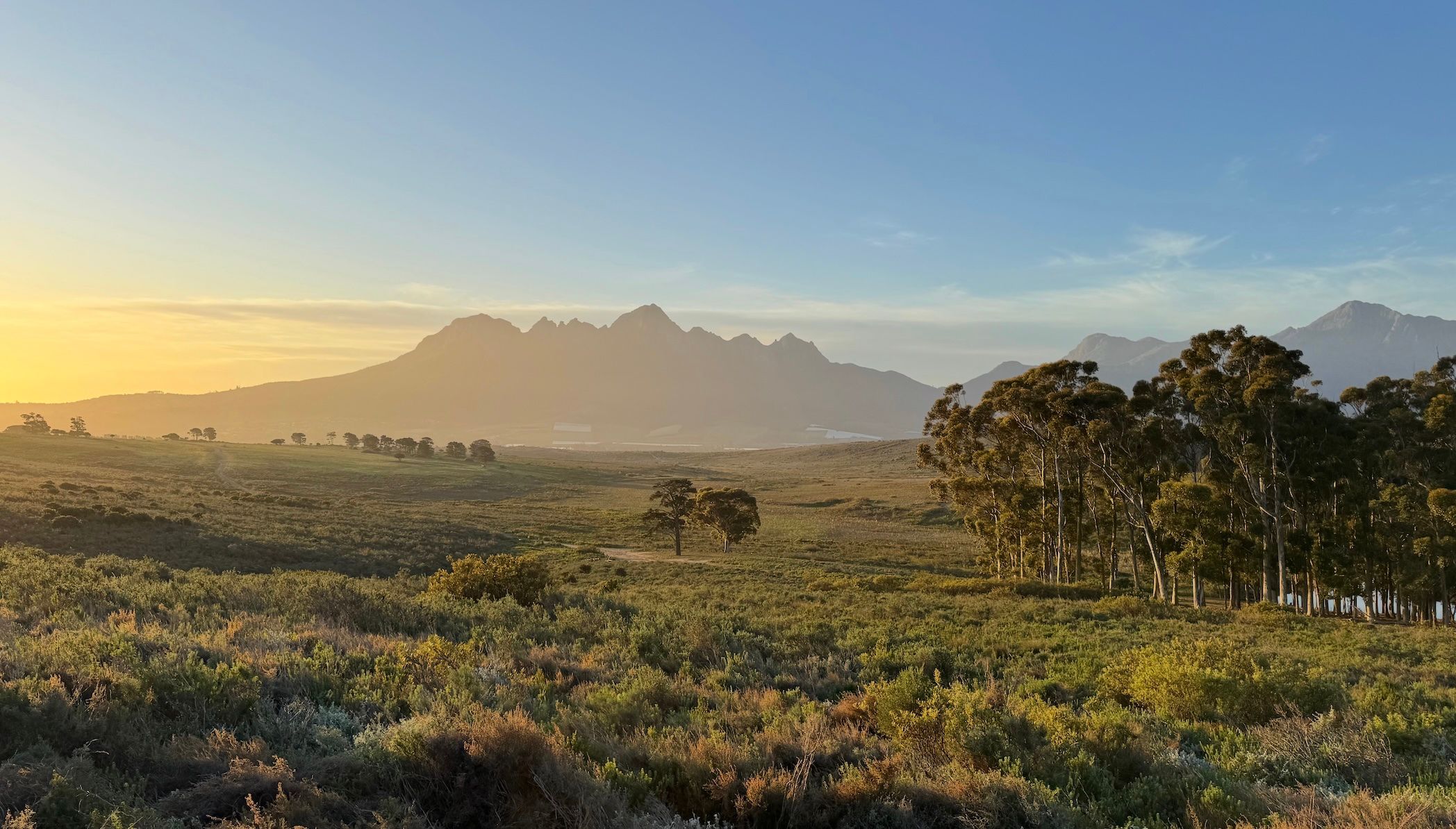 Cape Wine: Are buyers ready to back the full force of South Africa?