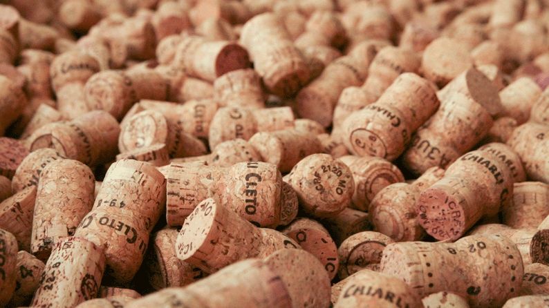 Why Pignoletto can be the new Prosecco: The Buyer on the Road