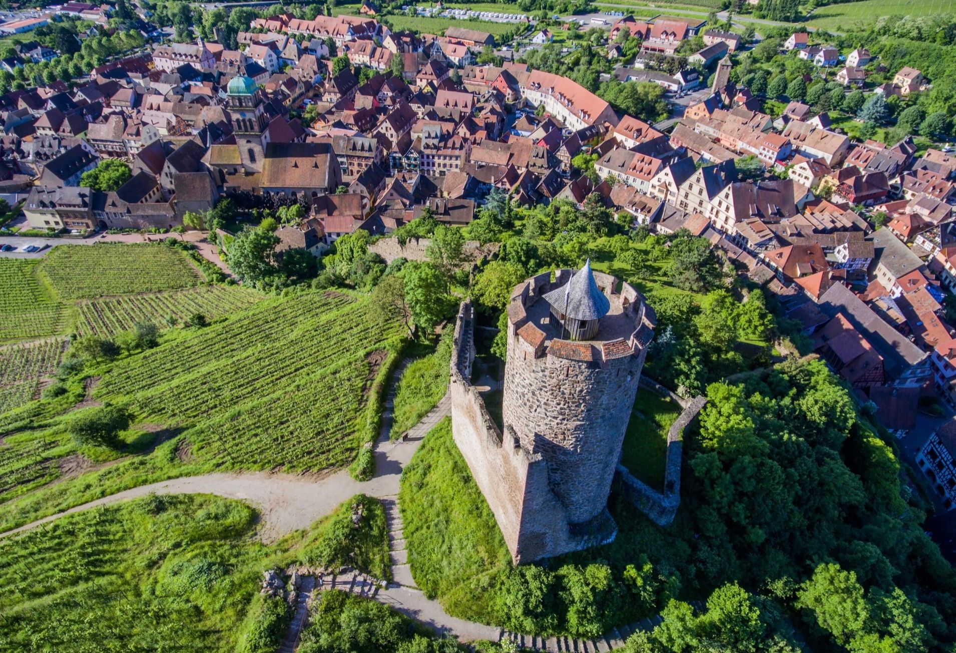 IWSC expert panel look to capture best of Alsace in eight wines