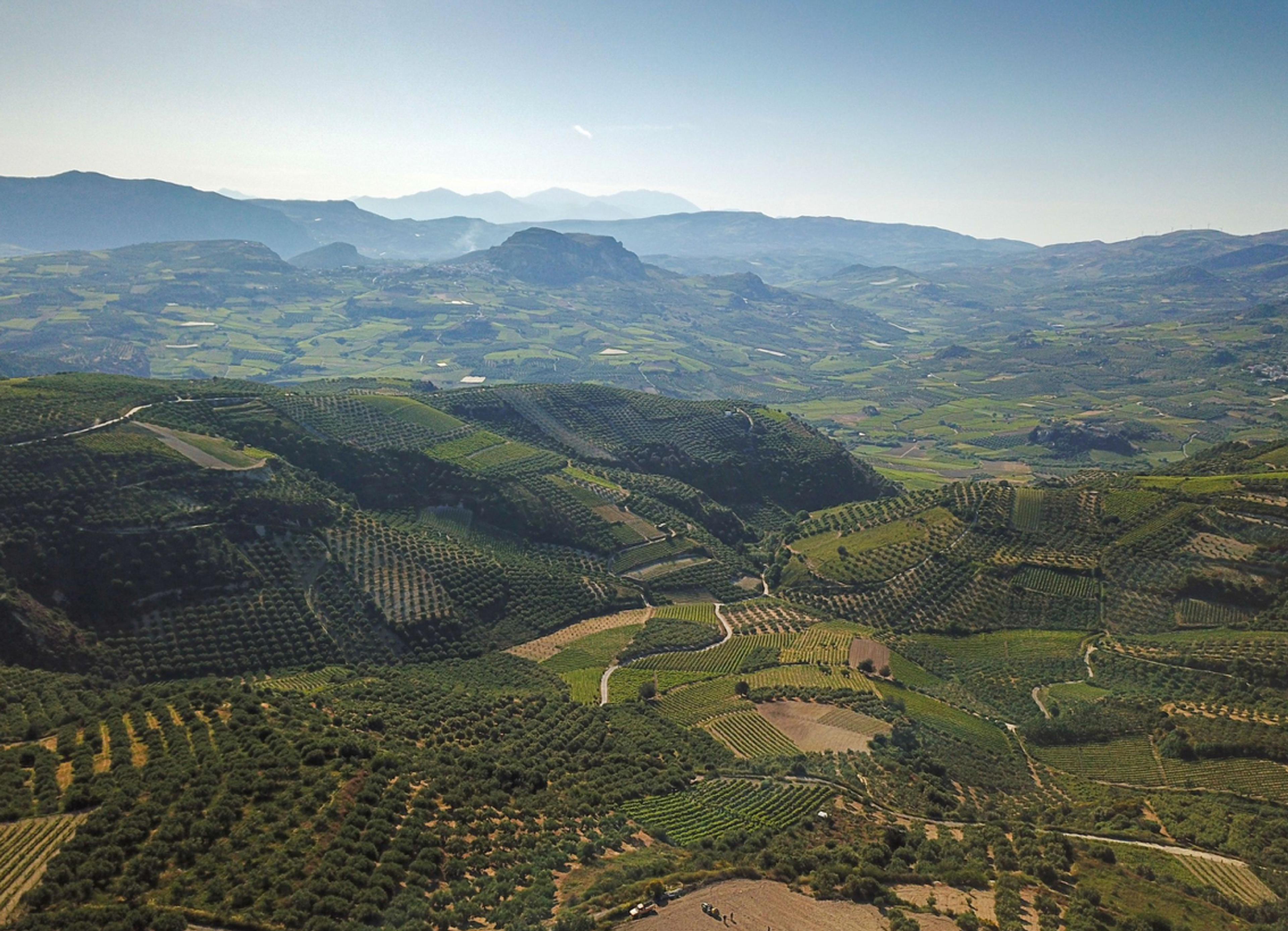 Why Crete's wines and producers are Greece's best kept secrets