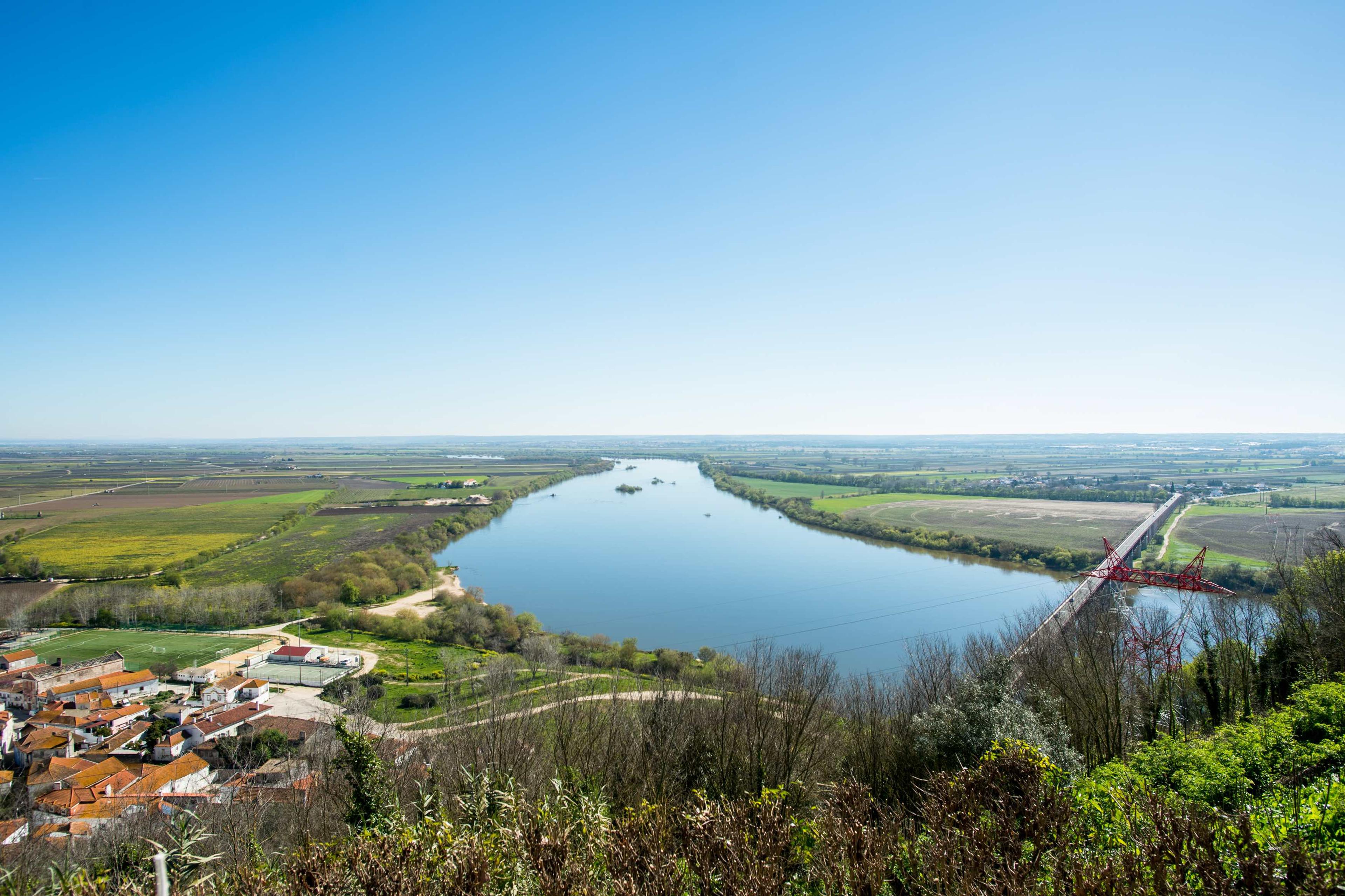 Why Tejo wines needs to be part of a quality Portuguese wine offer