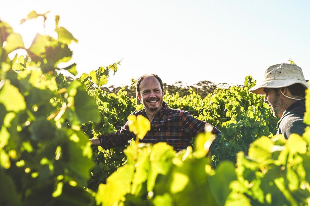How Voyager Estate is going organic in Margaret River