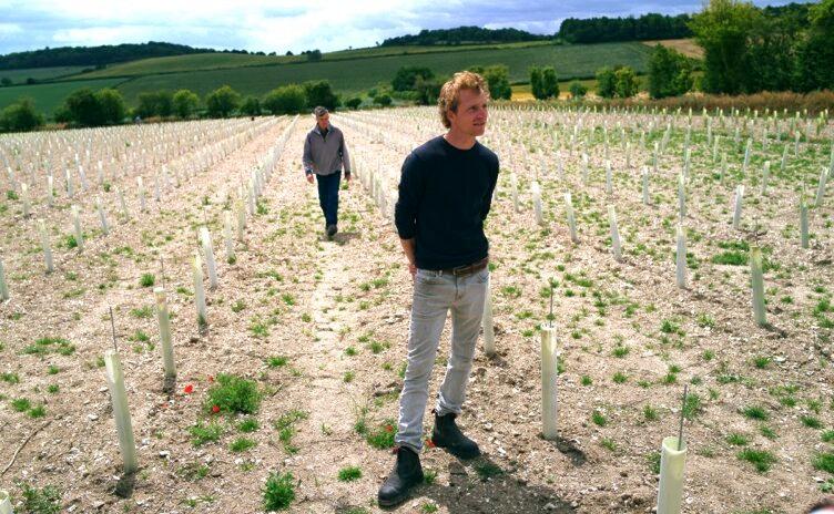 Offbeat Wines’ Daniel Ham and his rock n’ roll winemaking