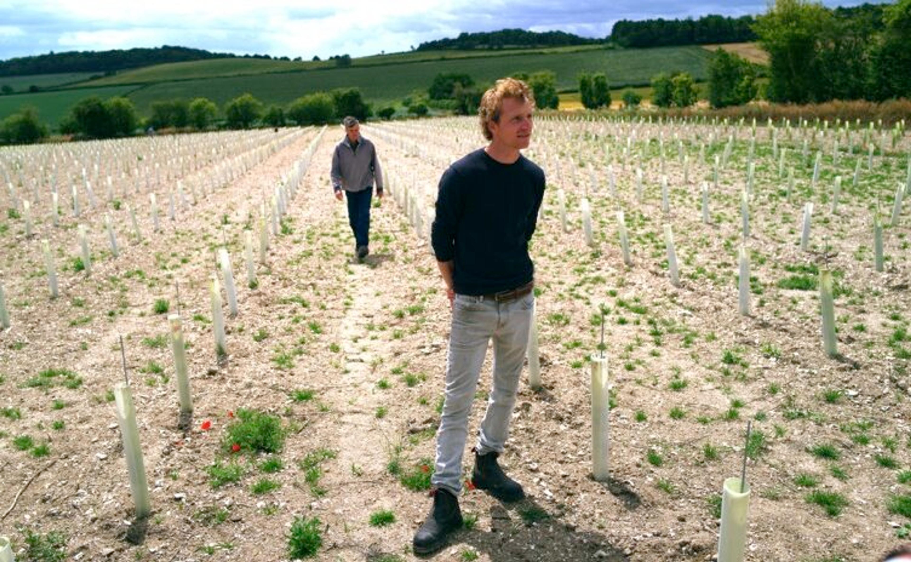 Offbeat Wines’ Daniel Ham and his rock n’ roll winemaking