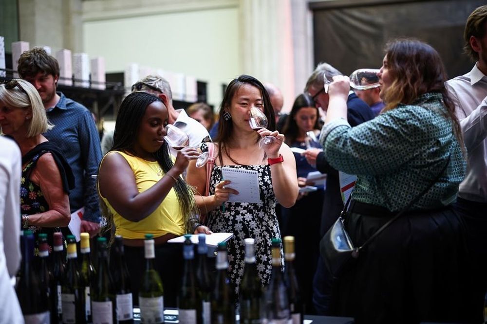 40 Years of Jeroboams 