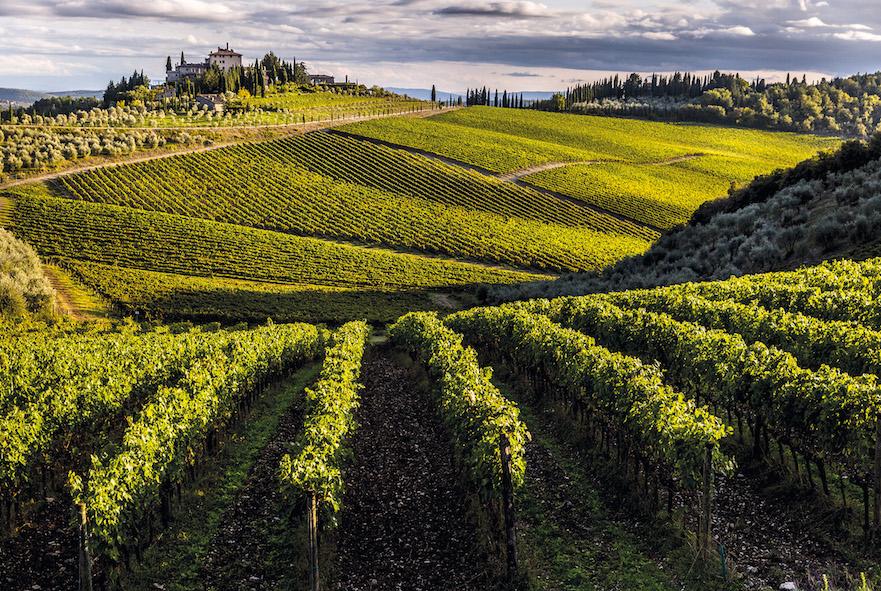 Frescobaldi reveals its 1st vintage from Tenuta Perano estate