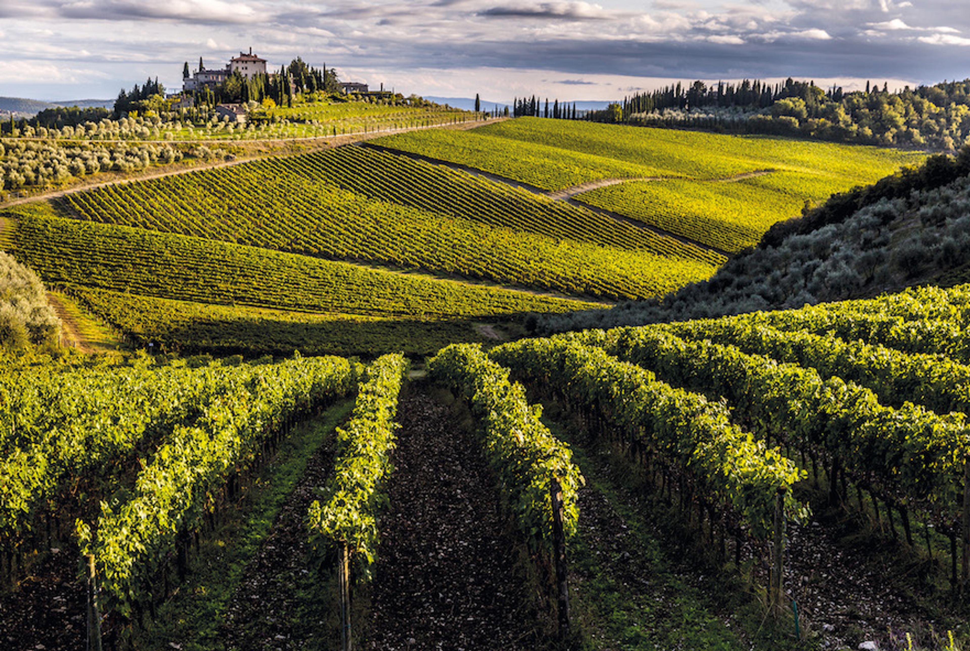 Frescobaldi reveals its 1st vintage from Tenuta Perano estate