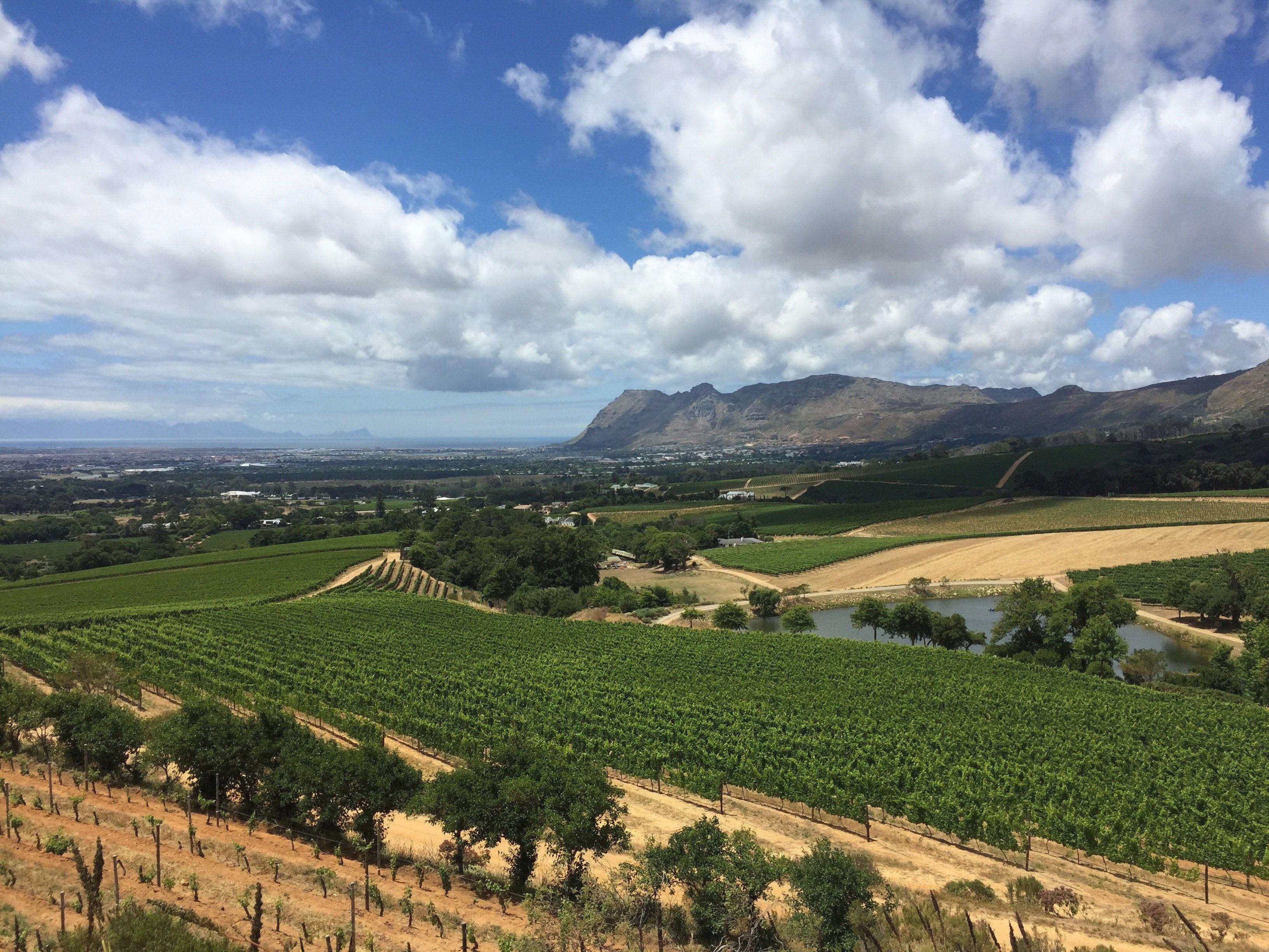 Decision time: how South Africa is facing up to big challenges