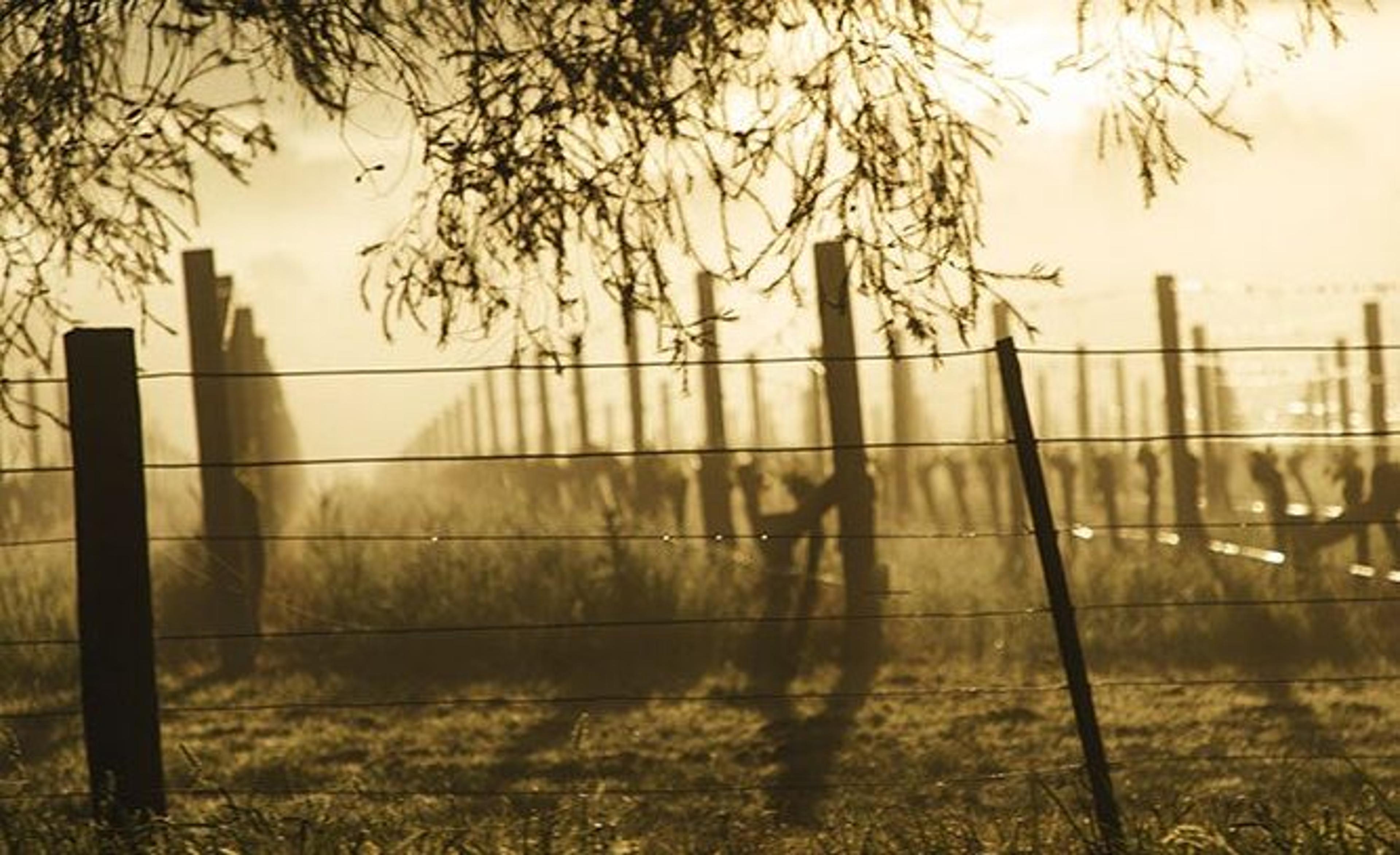 How Yarra Valley Chardonnay has found a better sense of balance