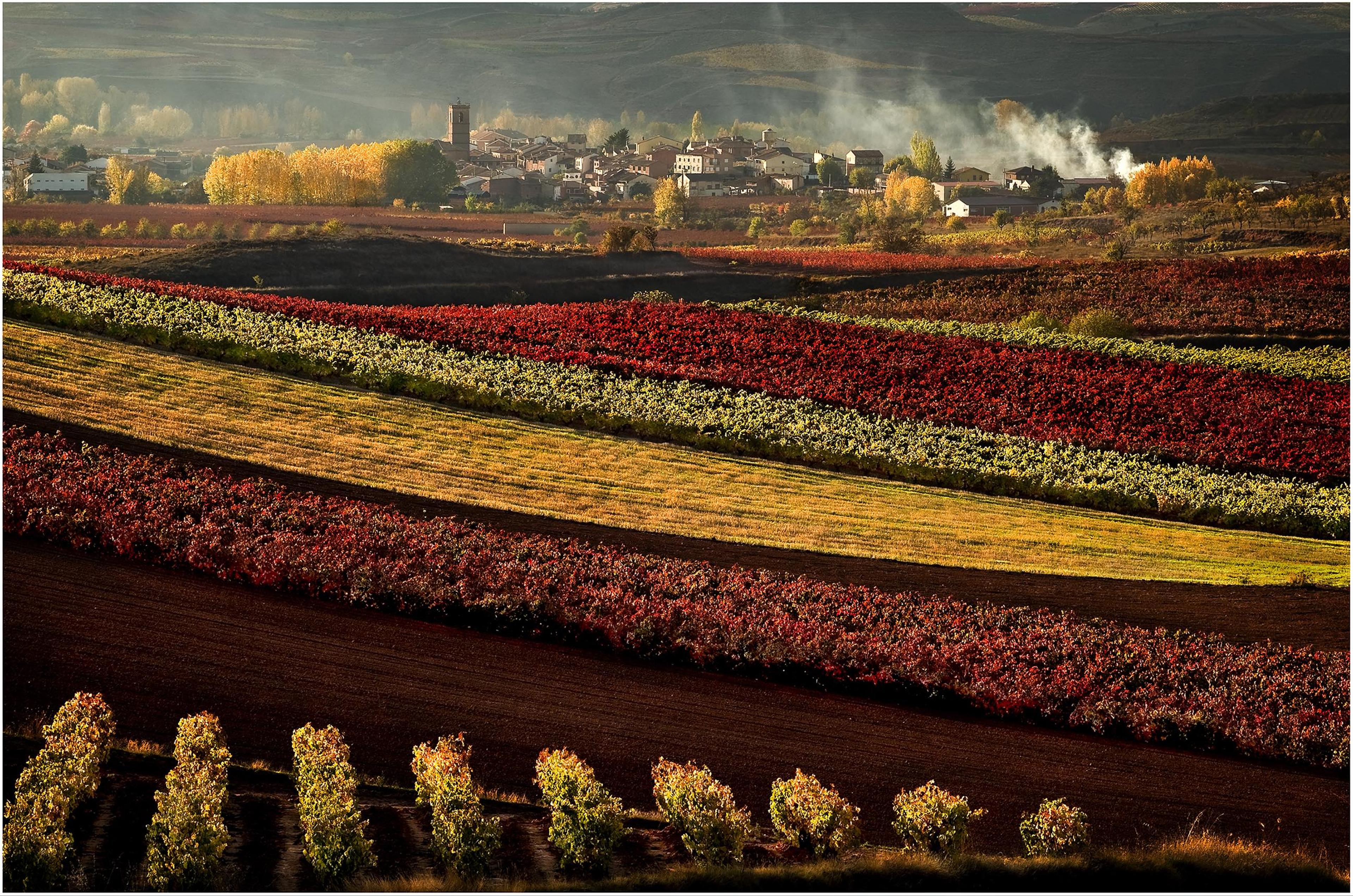 Why wines from Rioja offer so much variety for any wine list