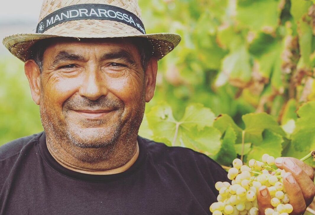 Geoffrey Dean puts the Sicilian wines of Mandrarossa to the test