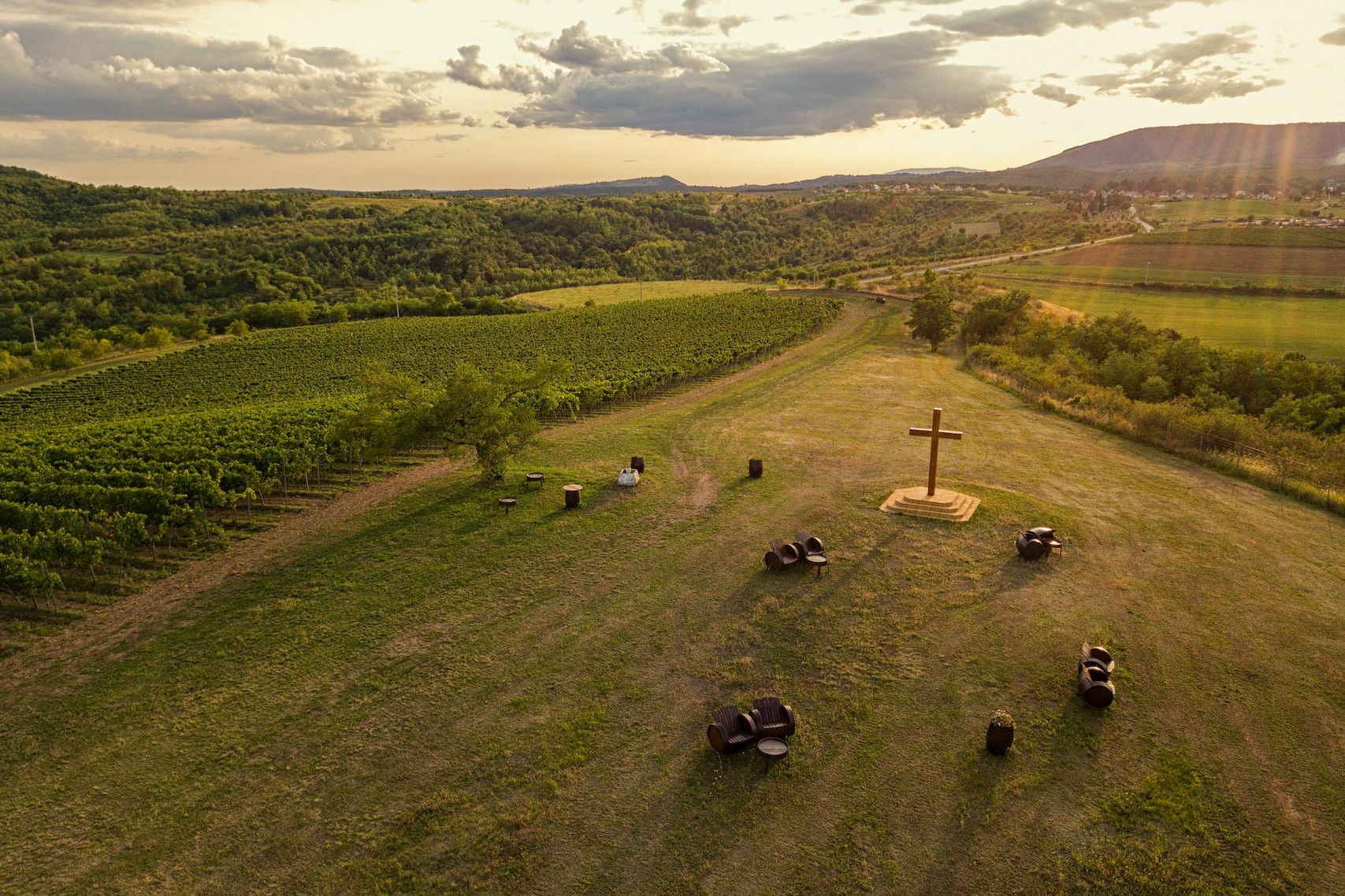 Why diversity is a ray of light in beating the 2017 wine drought