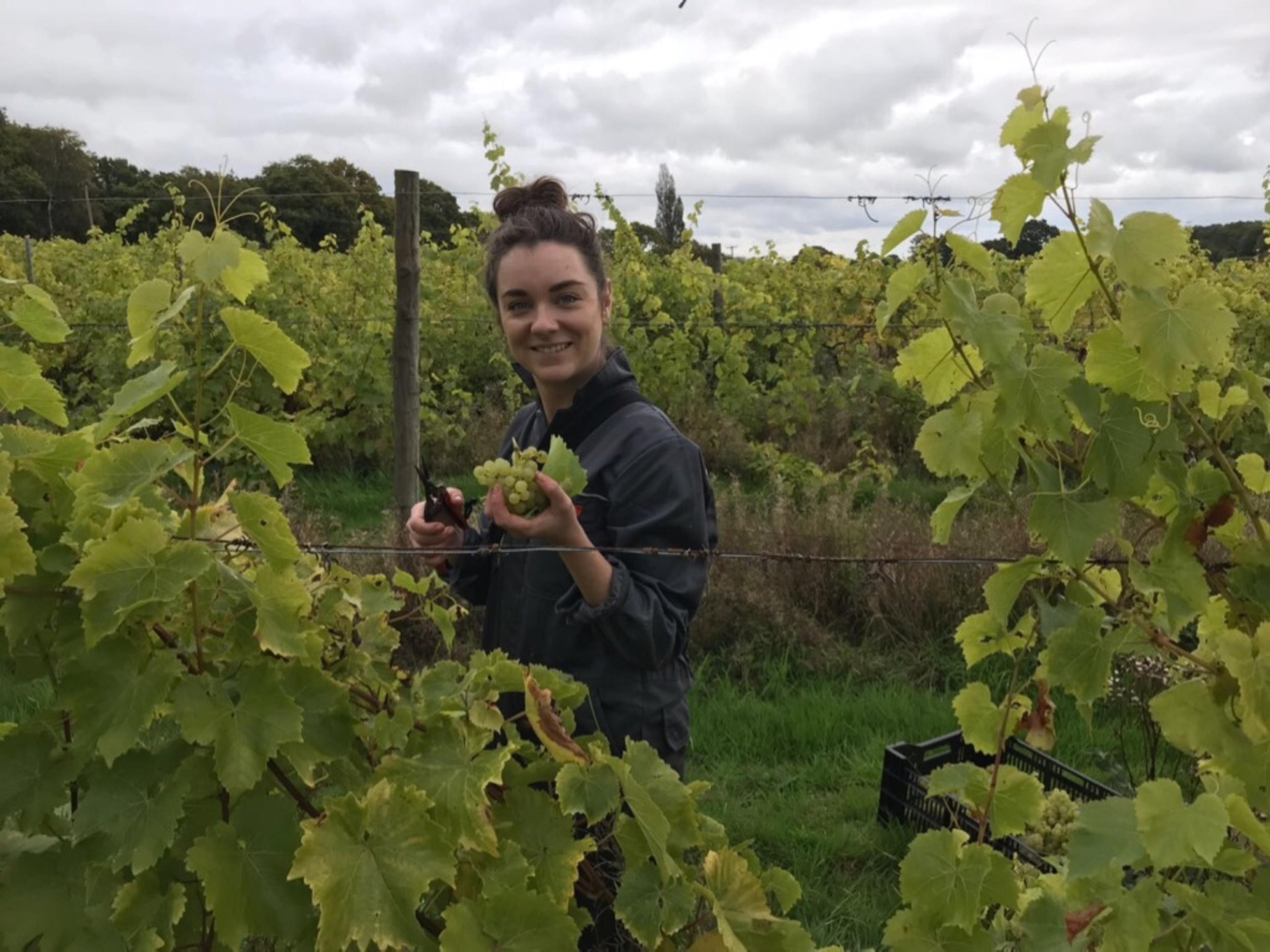 Lucy Chilvers on her life changing Plumpton College opportunity