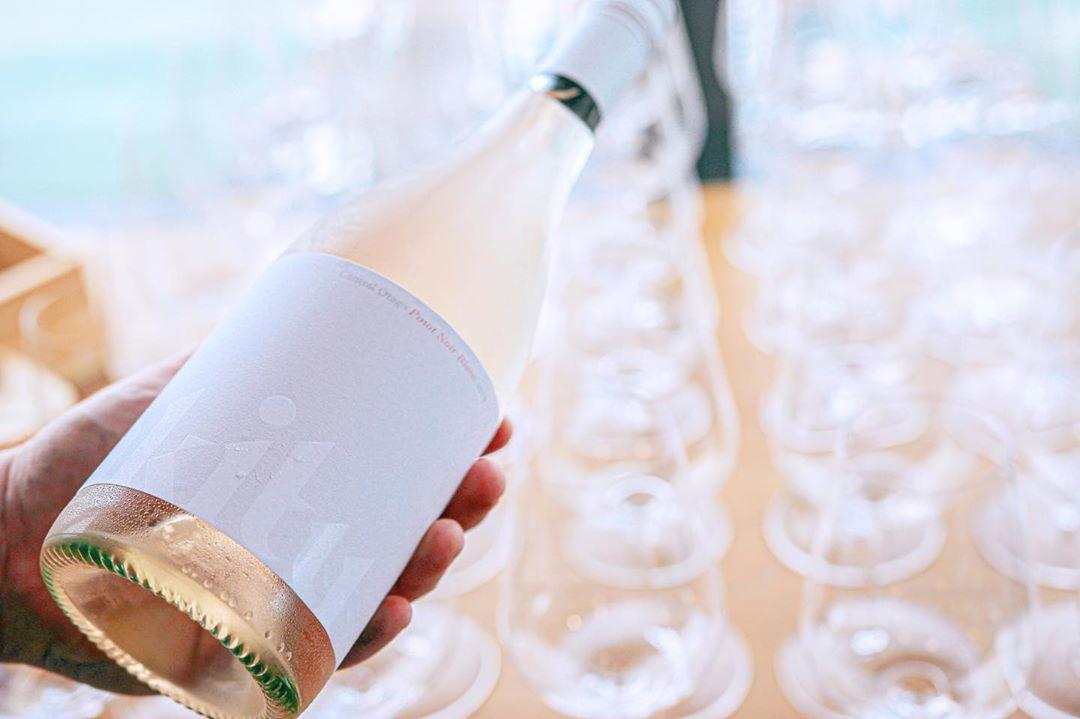 Akitu turns ‘a whiter shade of Pinot’ with new Pinot Noir Blanc