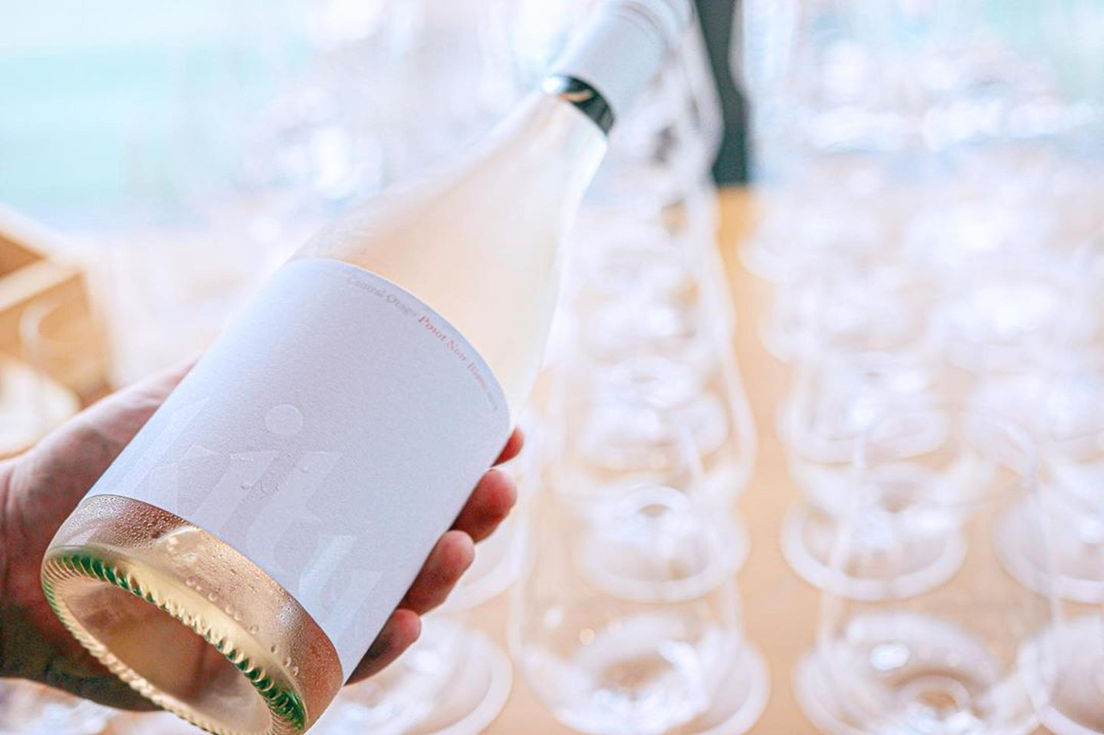 Akitu turns ‘a whiter shade of Pinot’ with new Pinot Noir Blanc