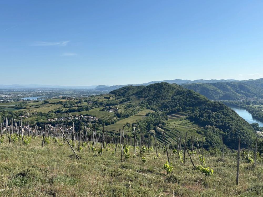 Crozes-Hermitage