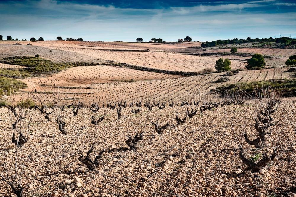 Gil Family Estates