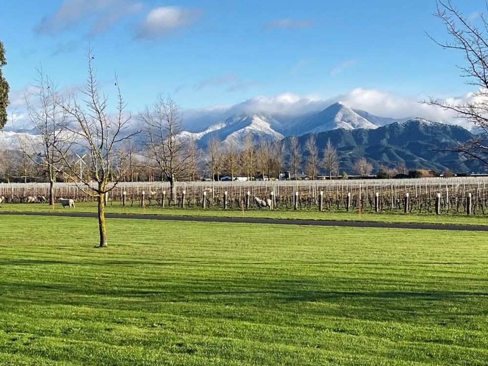 Isabel estate