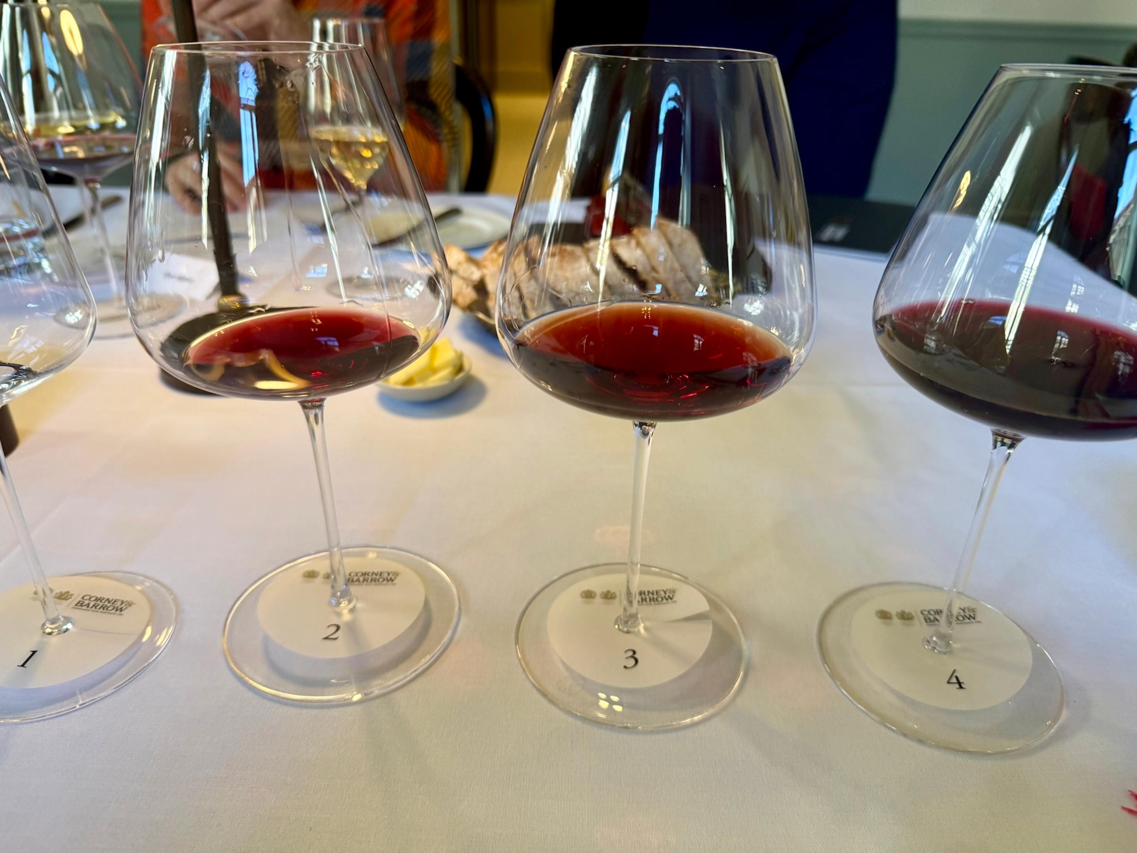 Tasting new Marquis d'Angerville 2024 with Guillaume and Margot