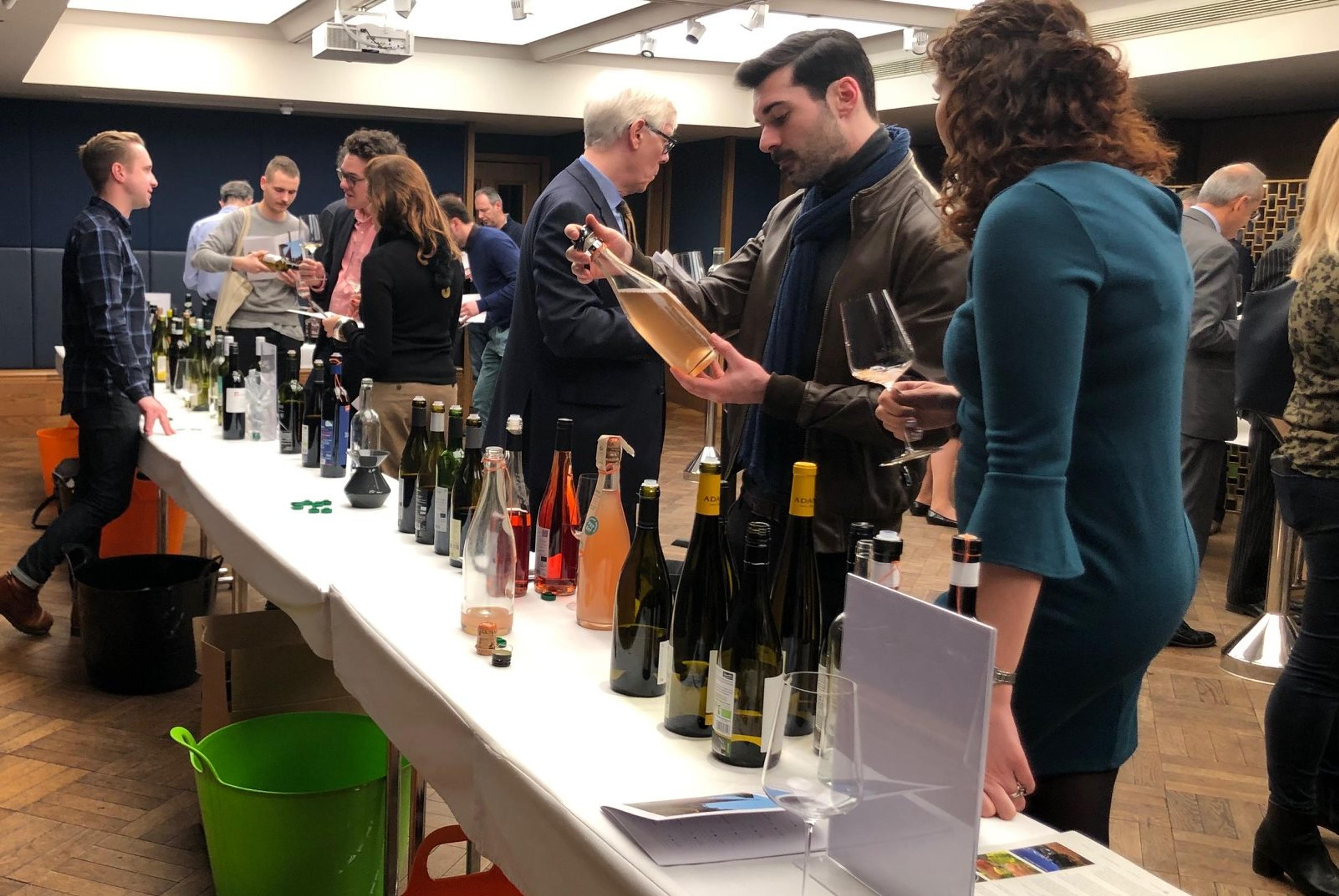 Chris Wilson picks 10 ‘Wines with a Conscience’ from Ellis Wines