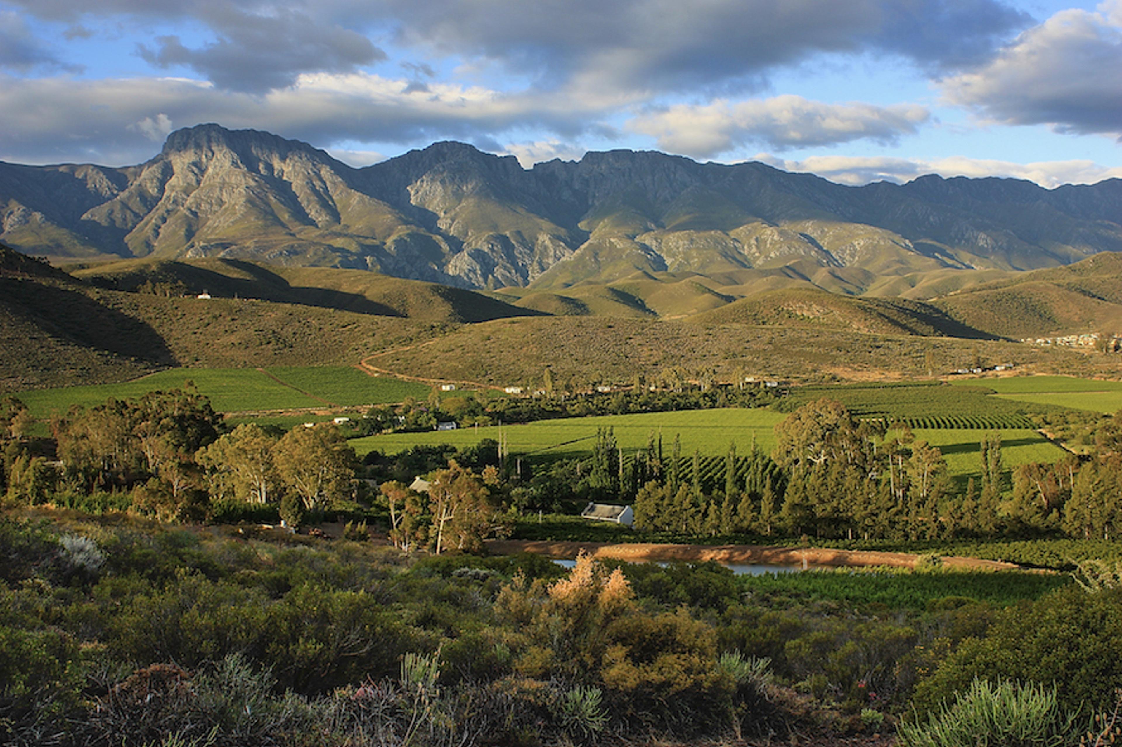 Why Robertson is gaining influence in the Western Cape