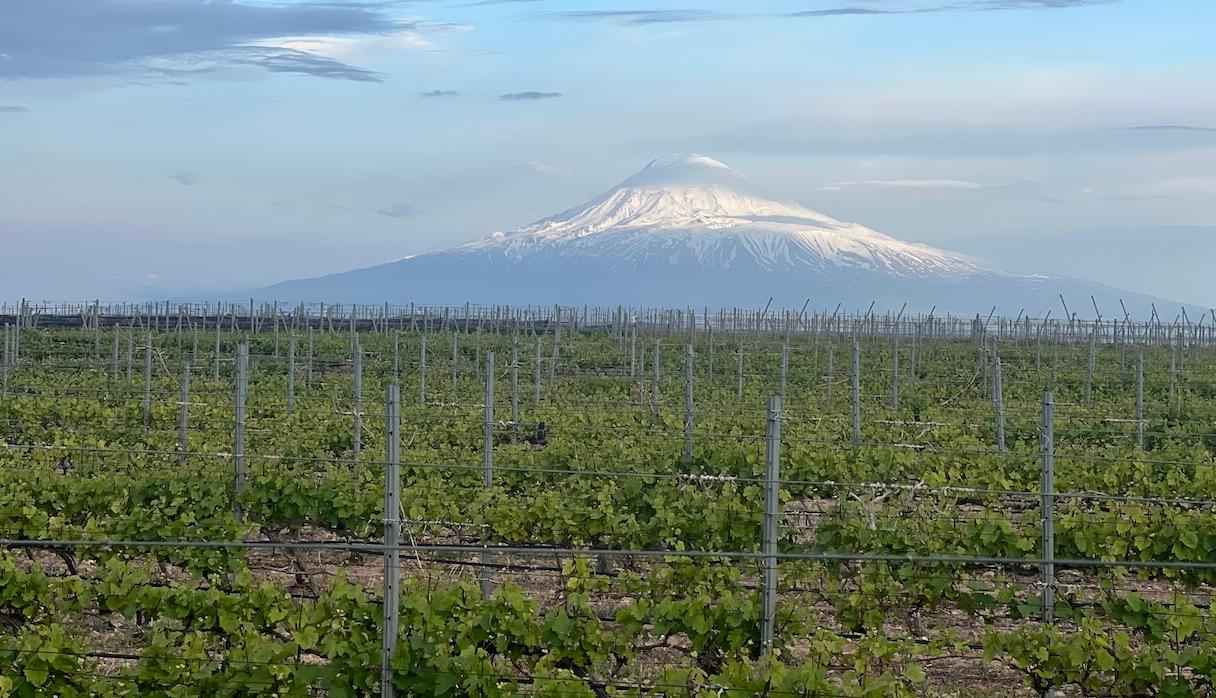 Visiting Armenia – the 'oldest newest' wine country in the world