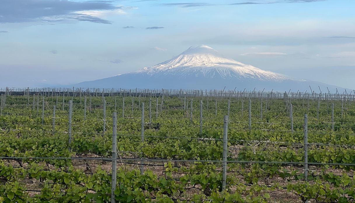 Visiting Armenia – the 'oldest newest' wine country in the world
