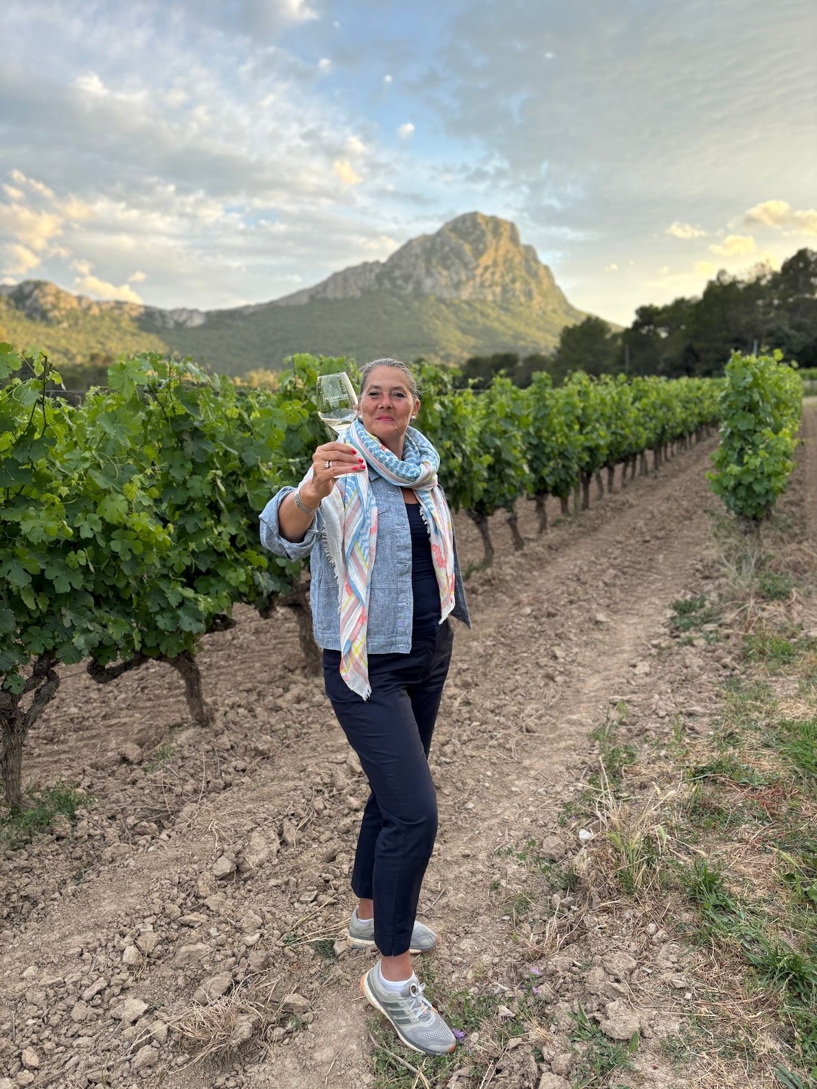 Miranda Long on the new top quality appellations in Languedoc