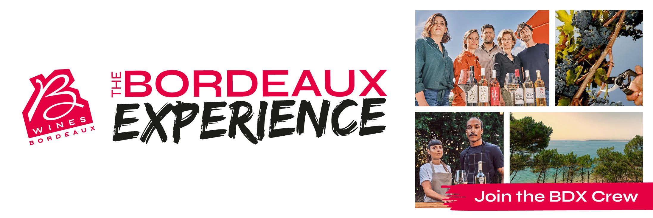 Bordeaux Experience 
