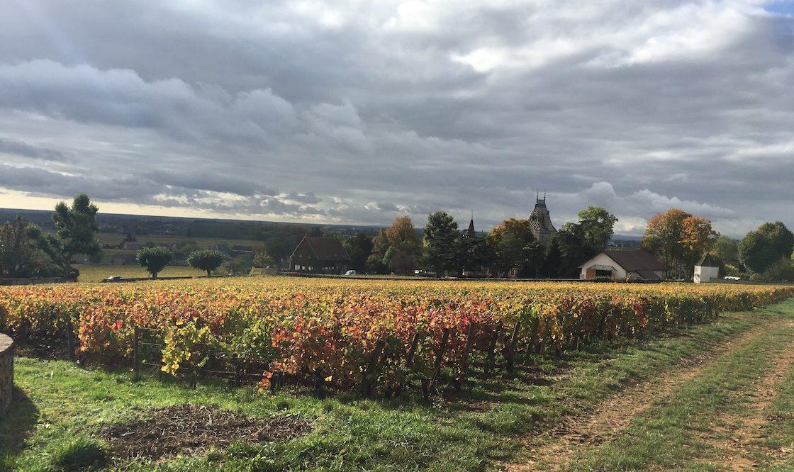 Corney & Barrow on Burgundy 2016: salvaged from near disaster